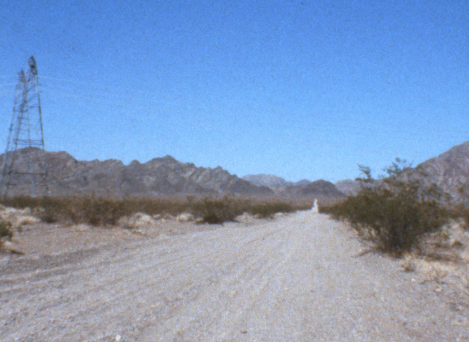 SF-No.382 Akiko Yada 矢田亚希子/矢田亜希子-图11