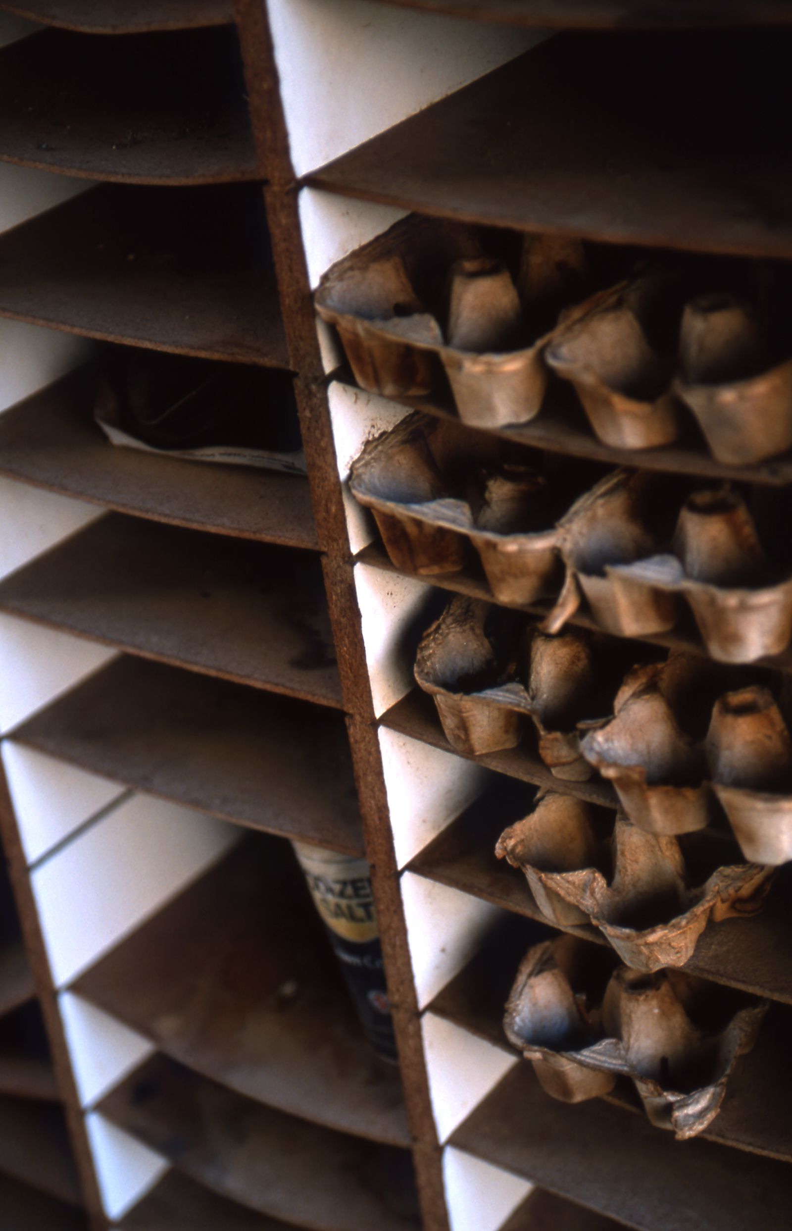 SF-No.382 Akiko Yada 矢田亚希子/矢田亜希子-图6