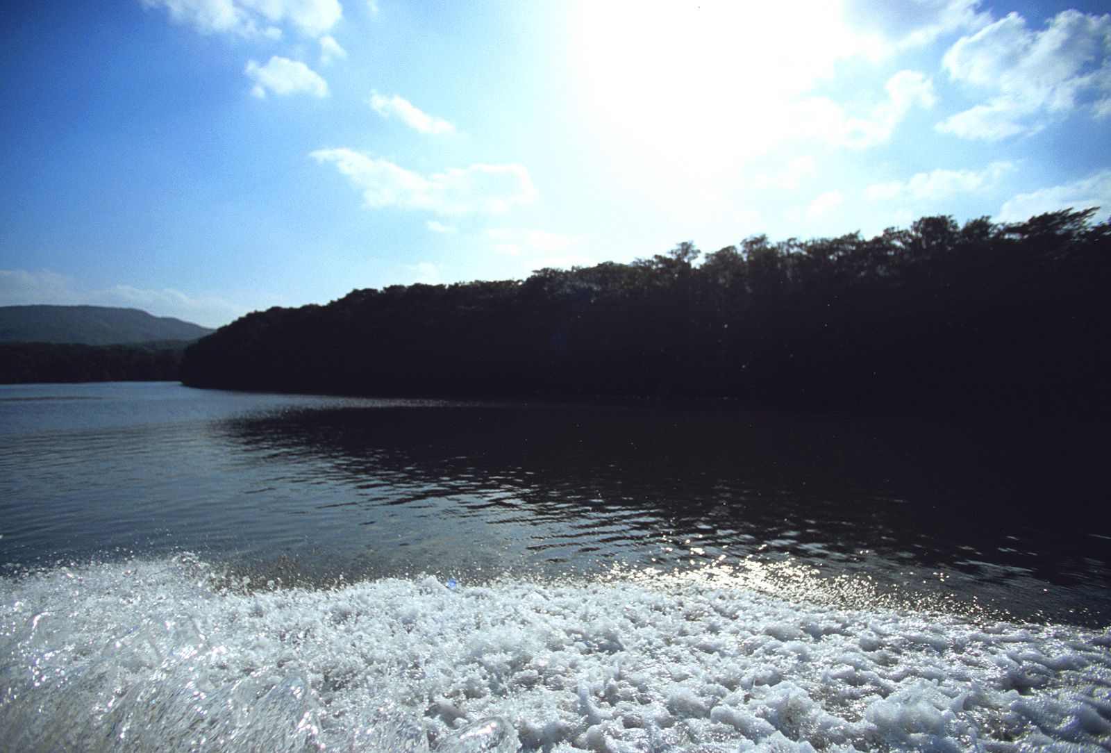 SF-No.390 Azusa Yamamoto 山本梓-图50