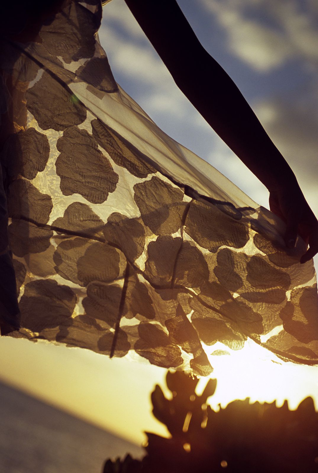 SF-No.390 Azusa Yamamoto 山本梓-图71