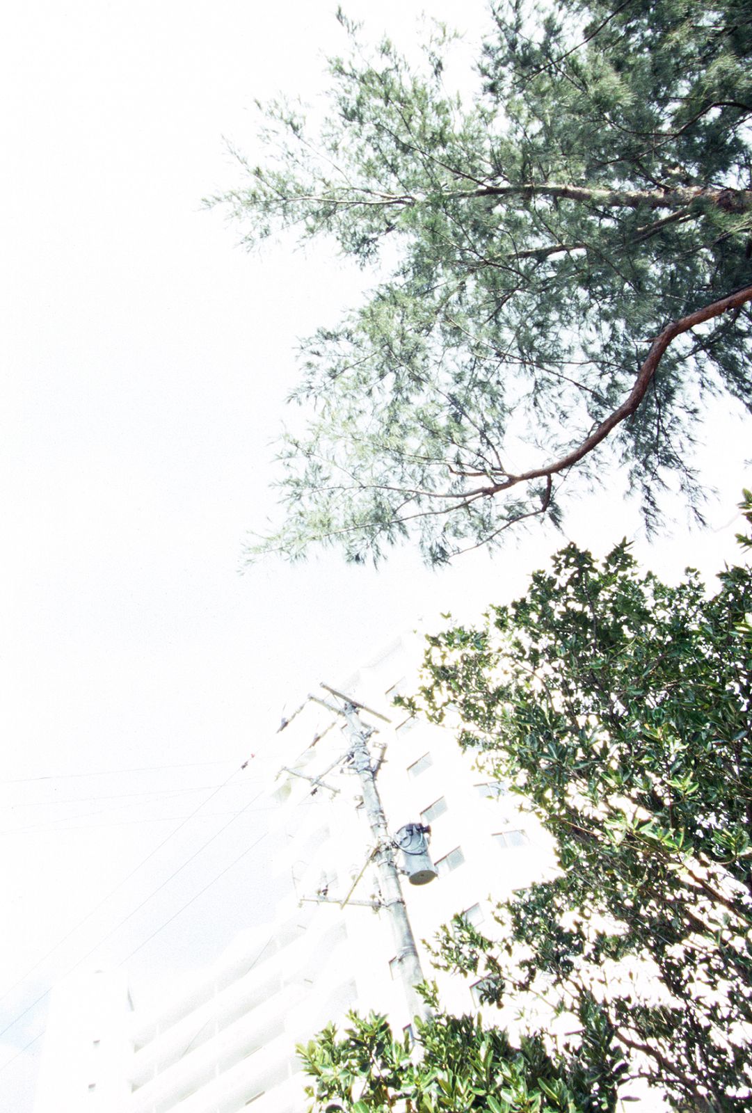 SF-No.390 Azusa Yamamoto 山本梓-图84