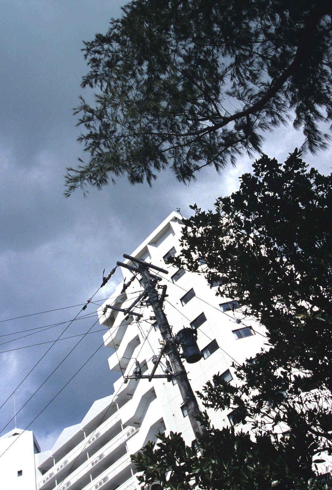 SF-No.390 Azusa Yamamoto 山本梓-图90