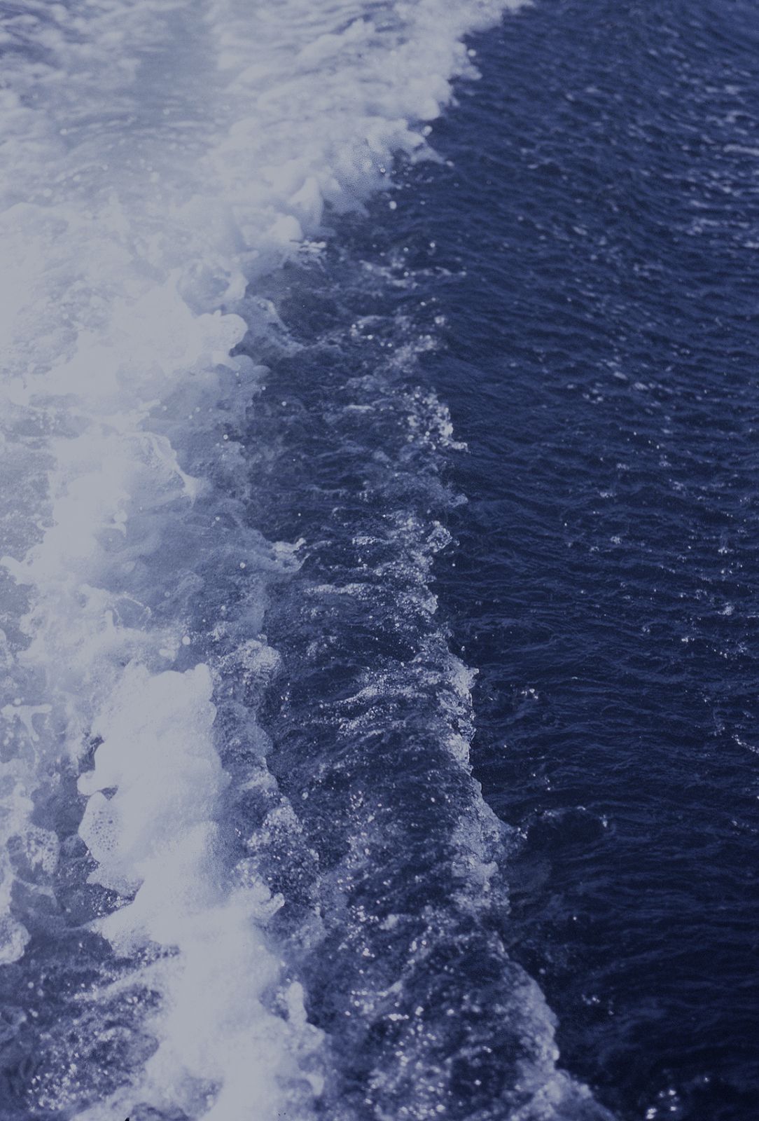 SF-No.391 山本梓 Azusa Yamamoto-图18