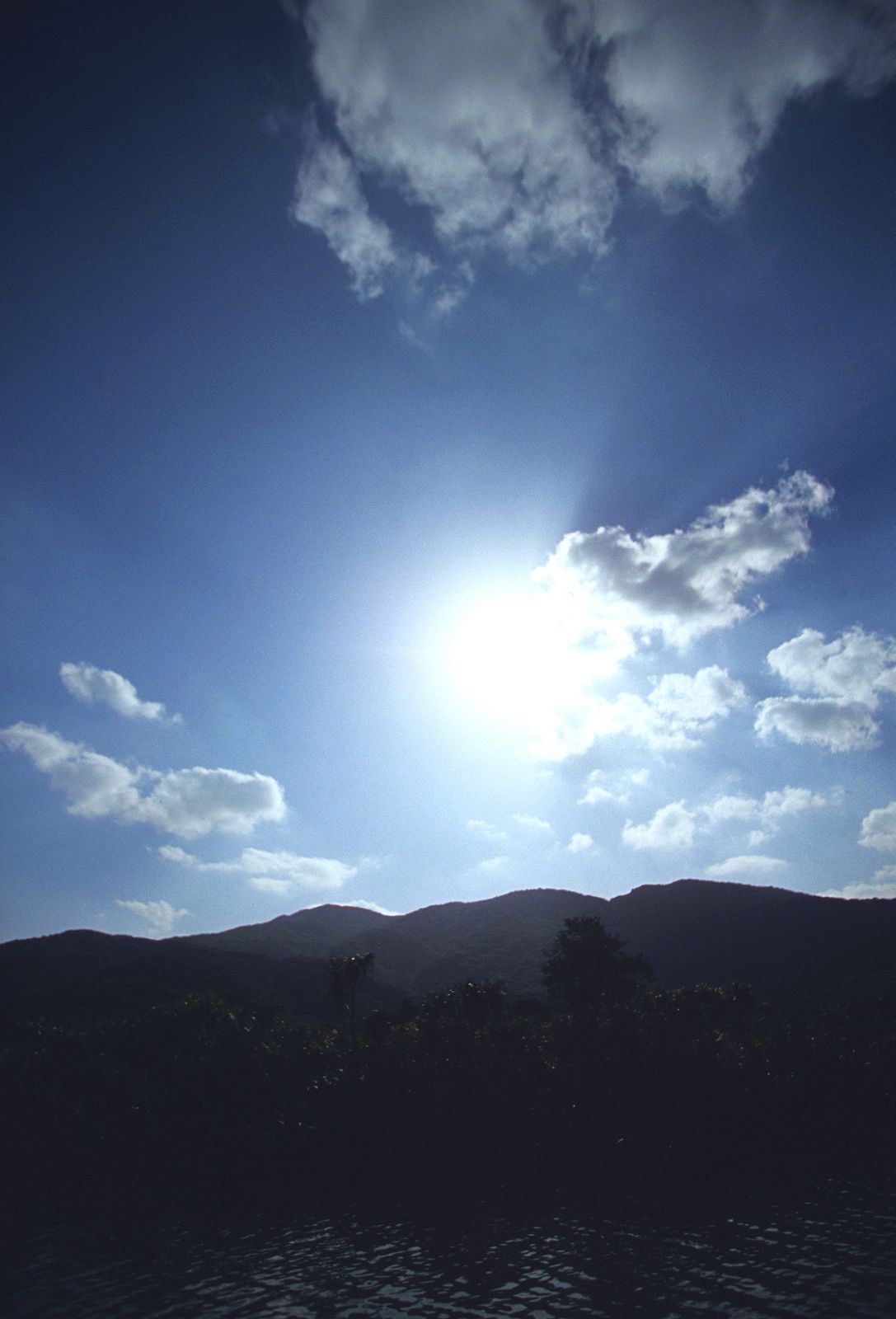 SF-No.391 山本梓 Azusa Yamamoto-图20