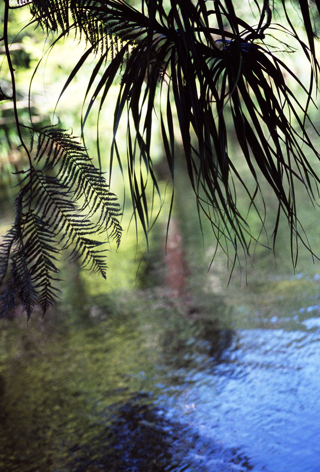 SF-No.391 山本梓 Azusa Yamamoto-图34