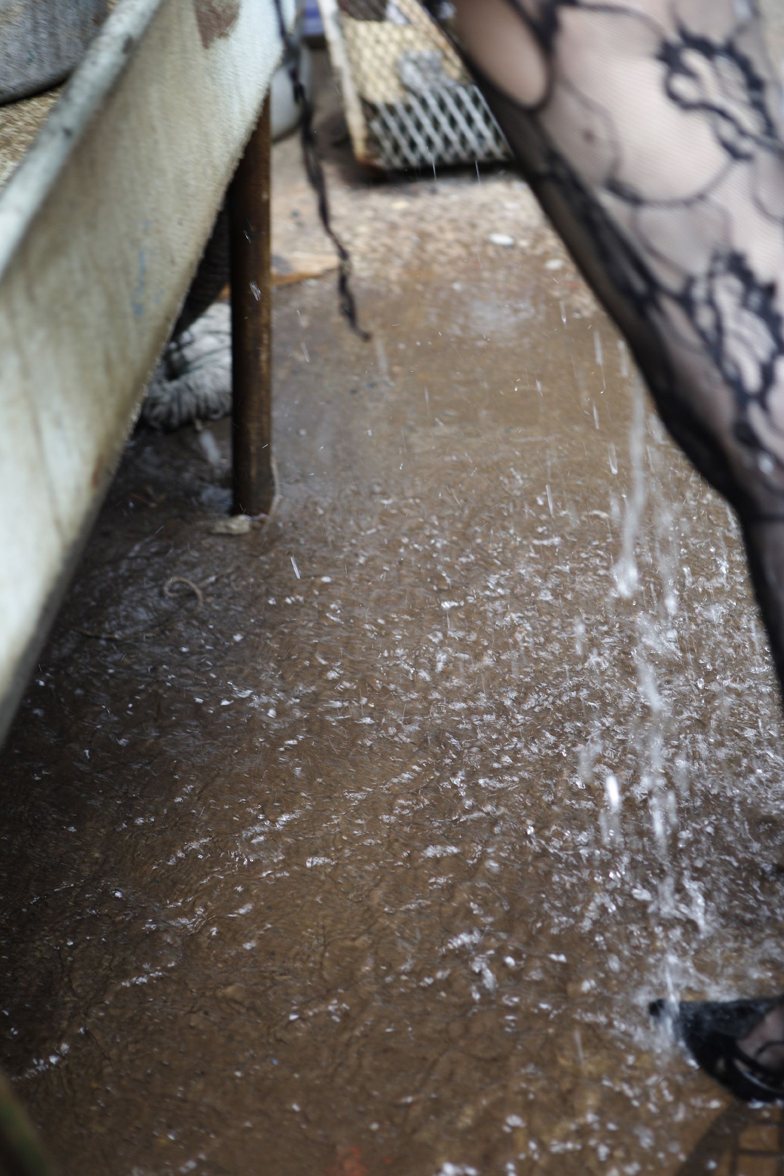 SF-No.392 Natsuki Kumada 熊田夏樹/岬リサ-图47