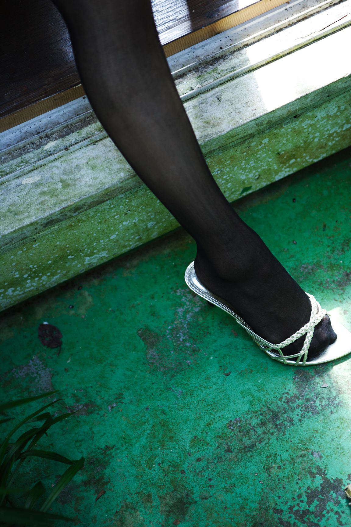 SF-No.396 Karin 果梨-图20