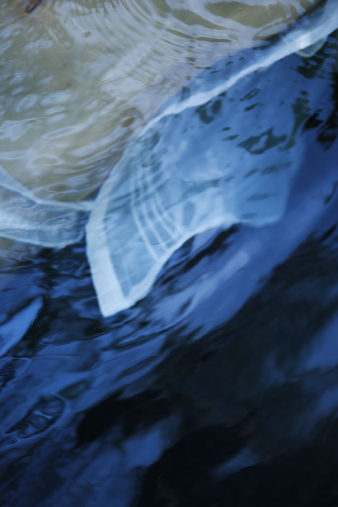 SF-No.396 Karin 果梨-图52