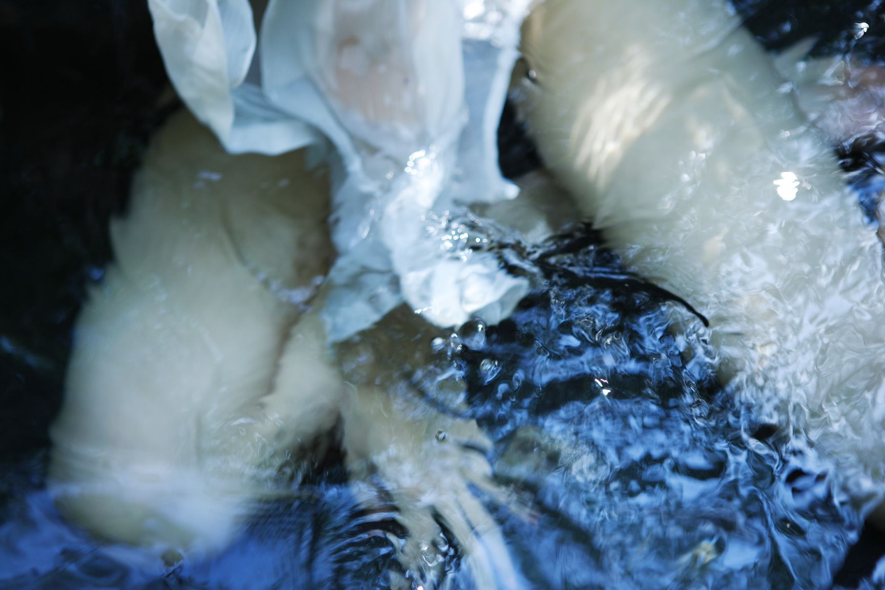 SF-No.396 Karin 果梨-图60