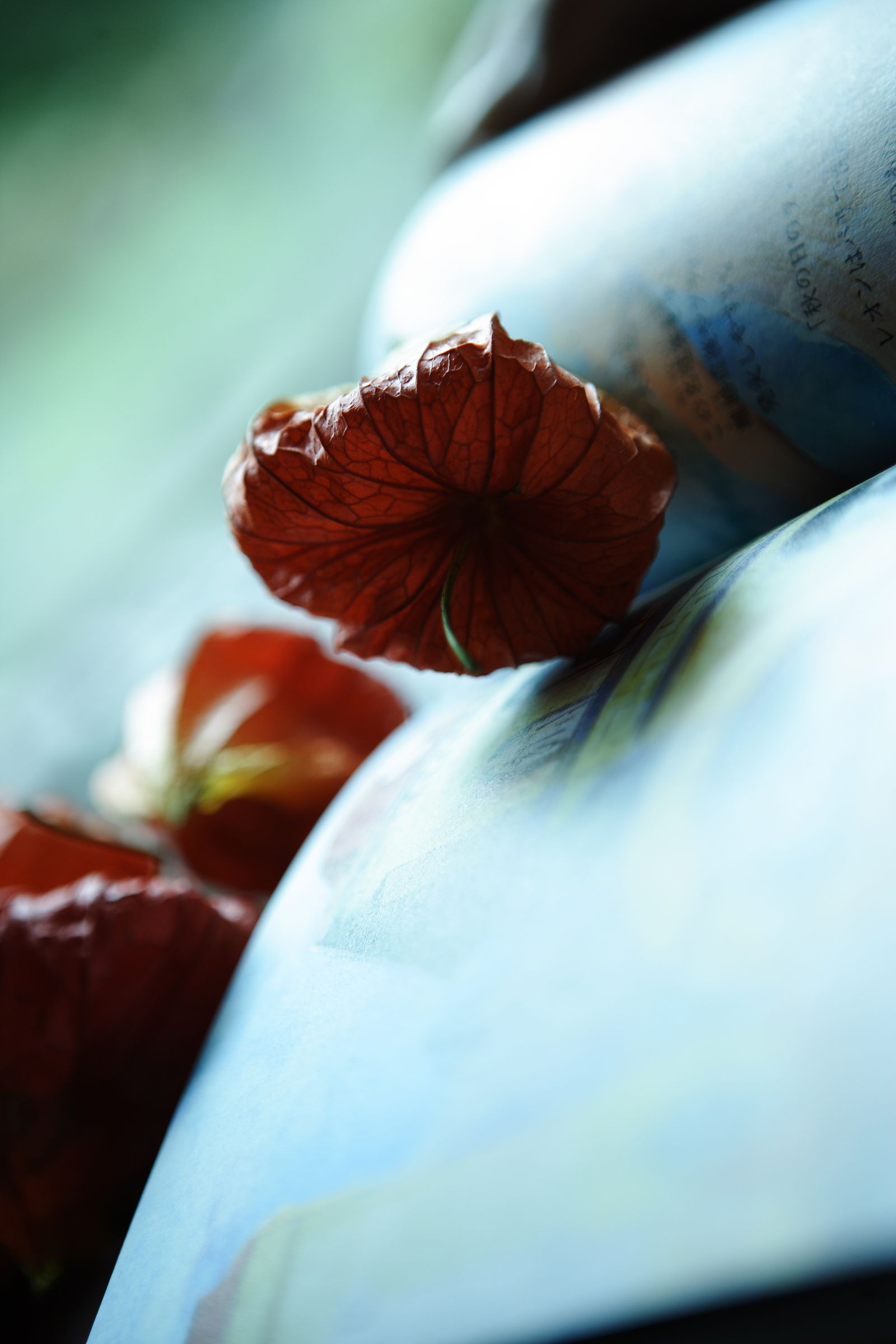 SF-No.399 Nene 寧寧-图18