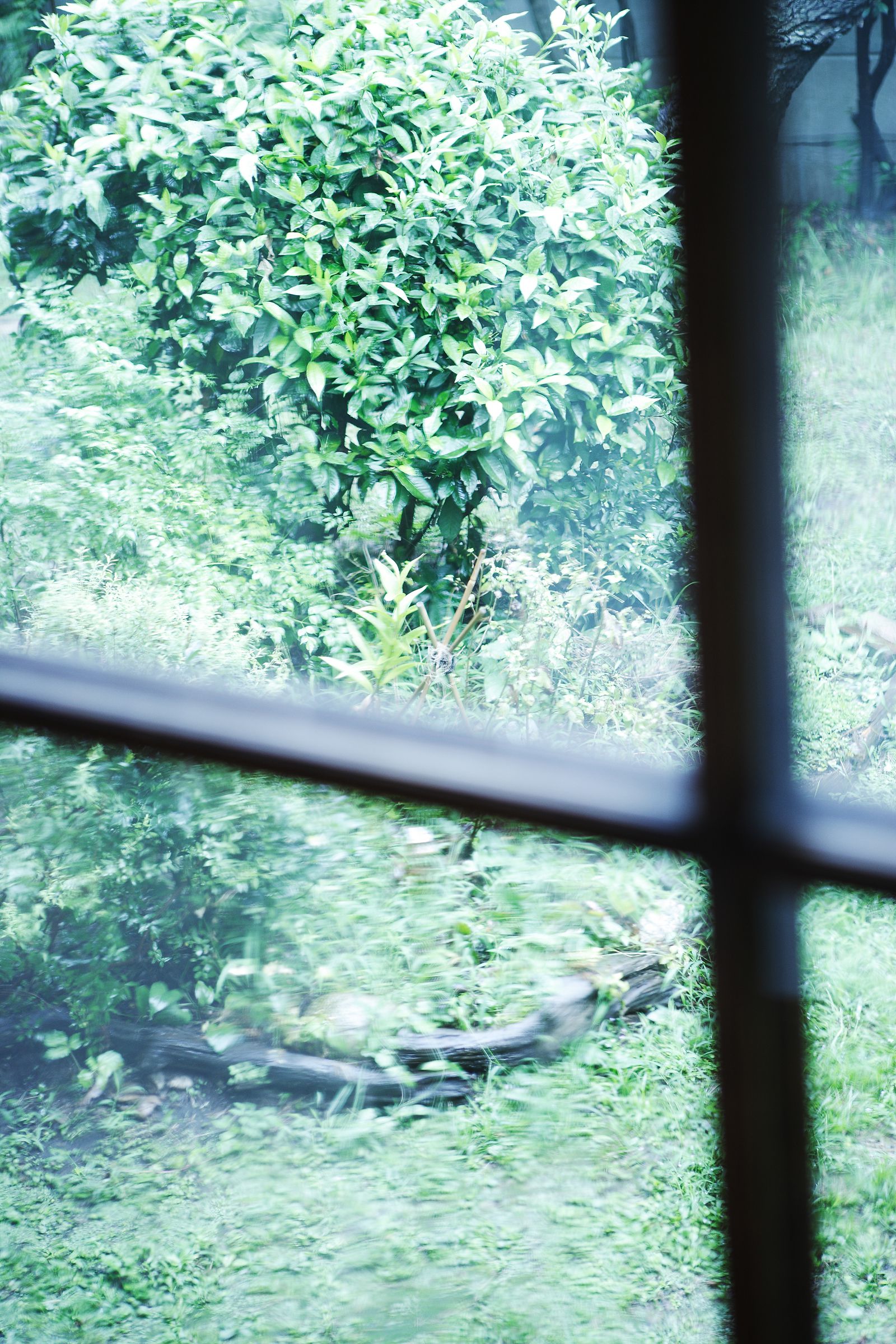 SF-No.399 Nene 寧寧-图25