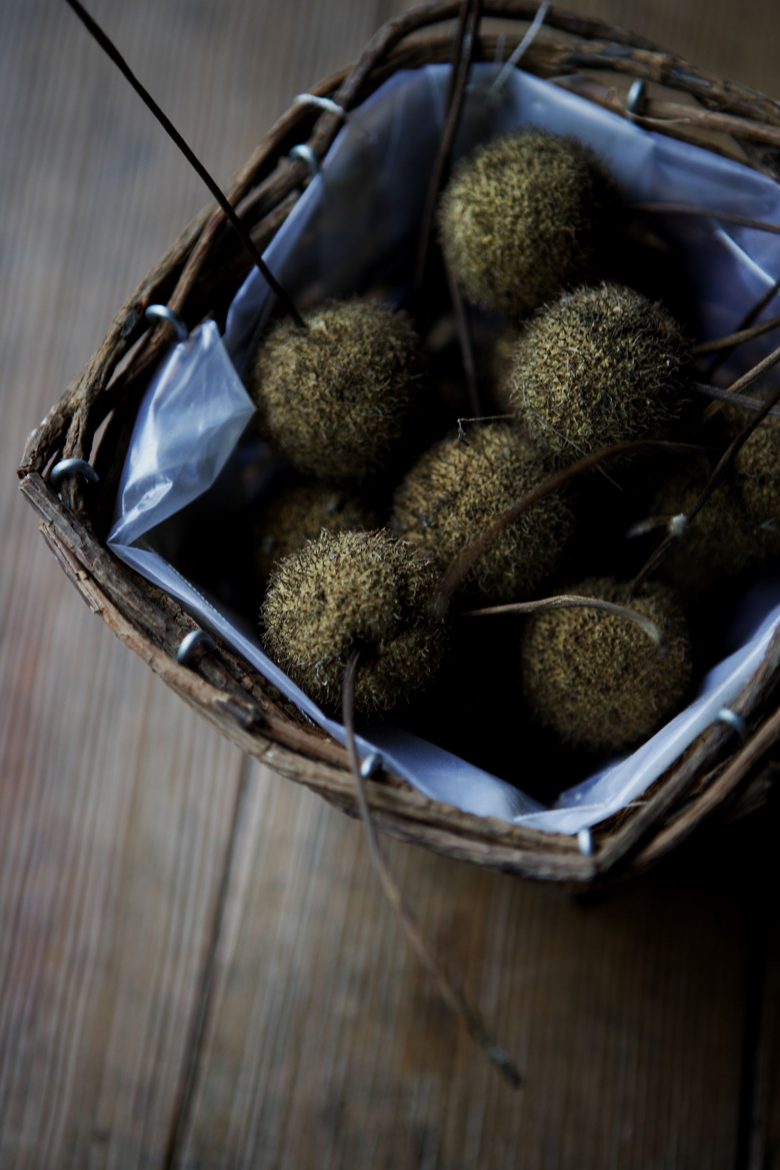 SF-No.399 Nene 寧寧-图26