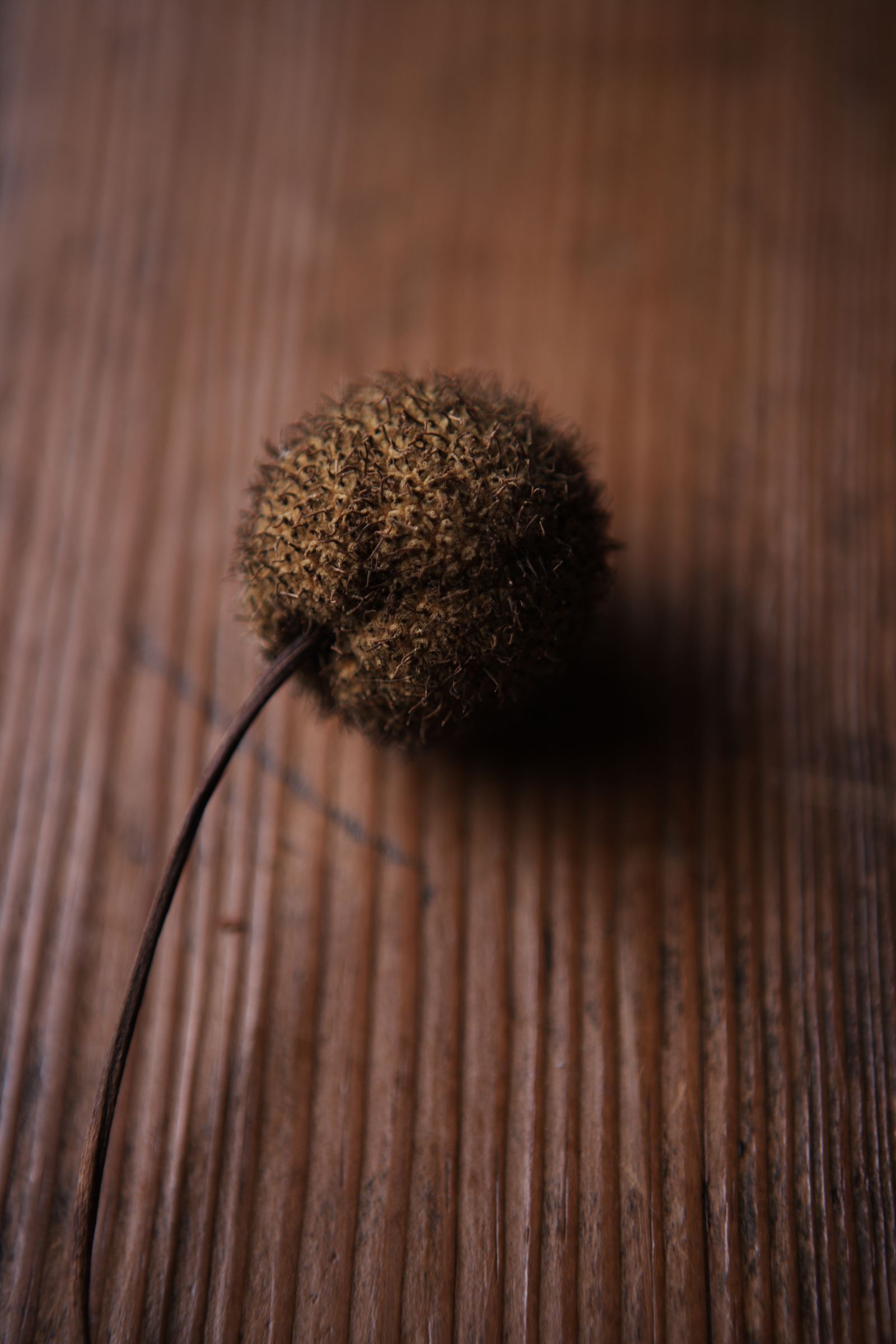 SF-No.399 Nene 寧寧-图27