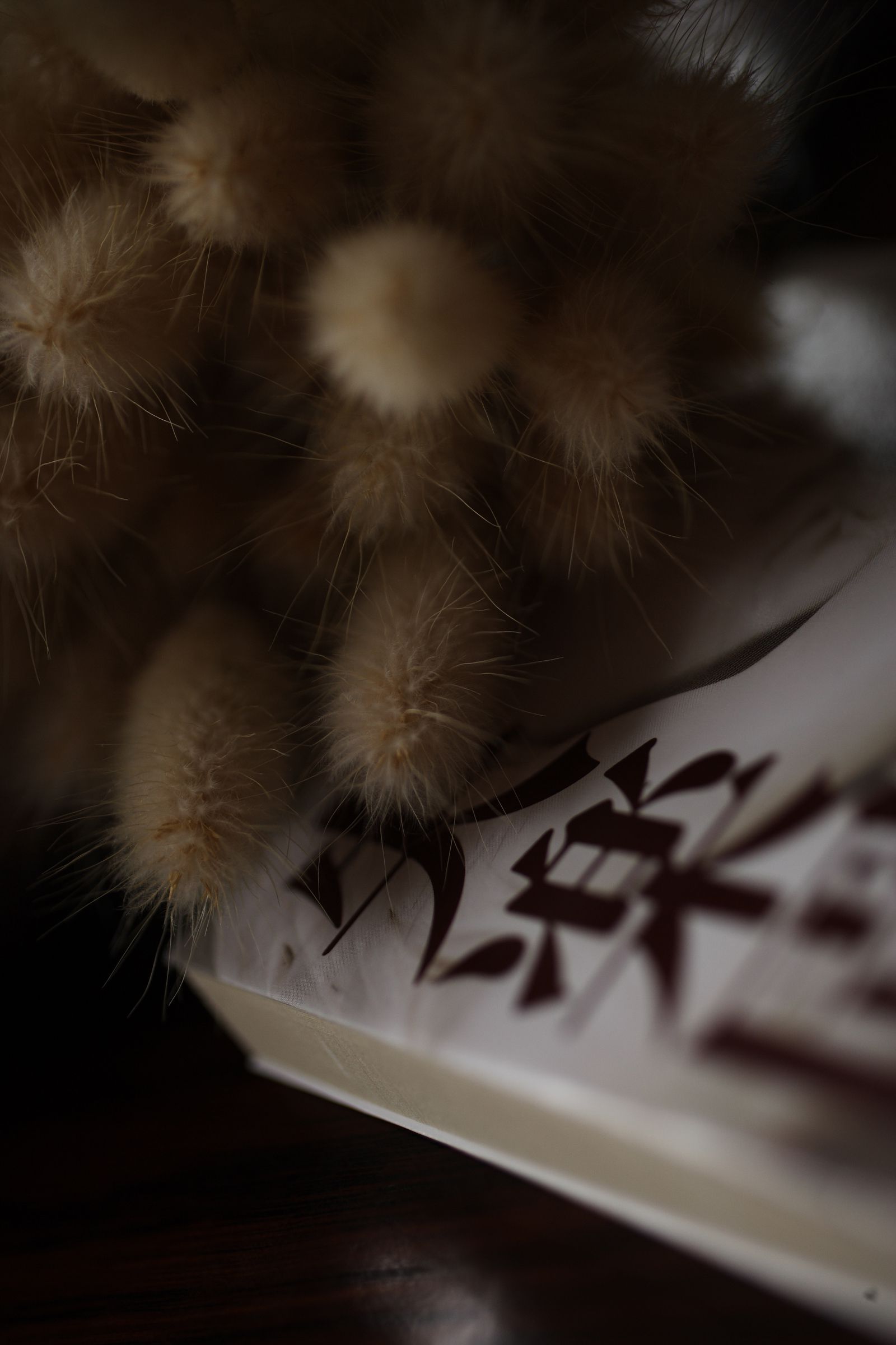 SF-No.399 Nene 寧寧-图29