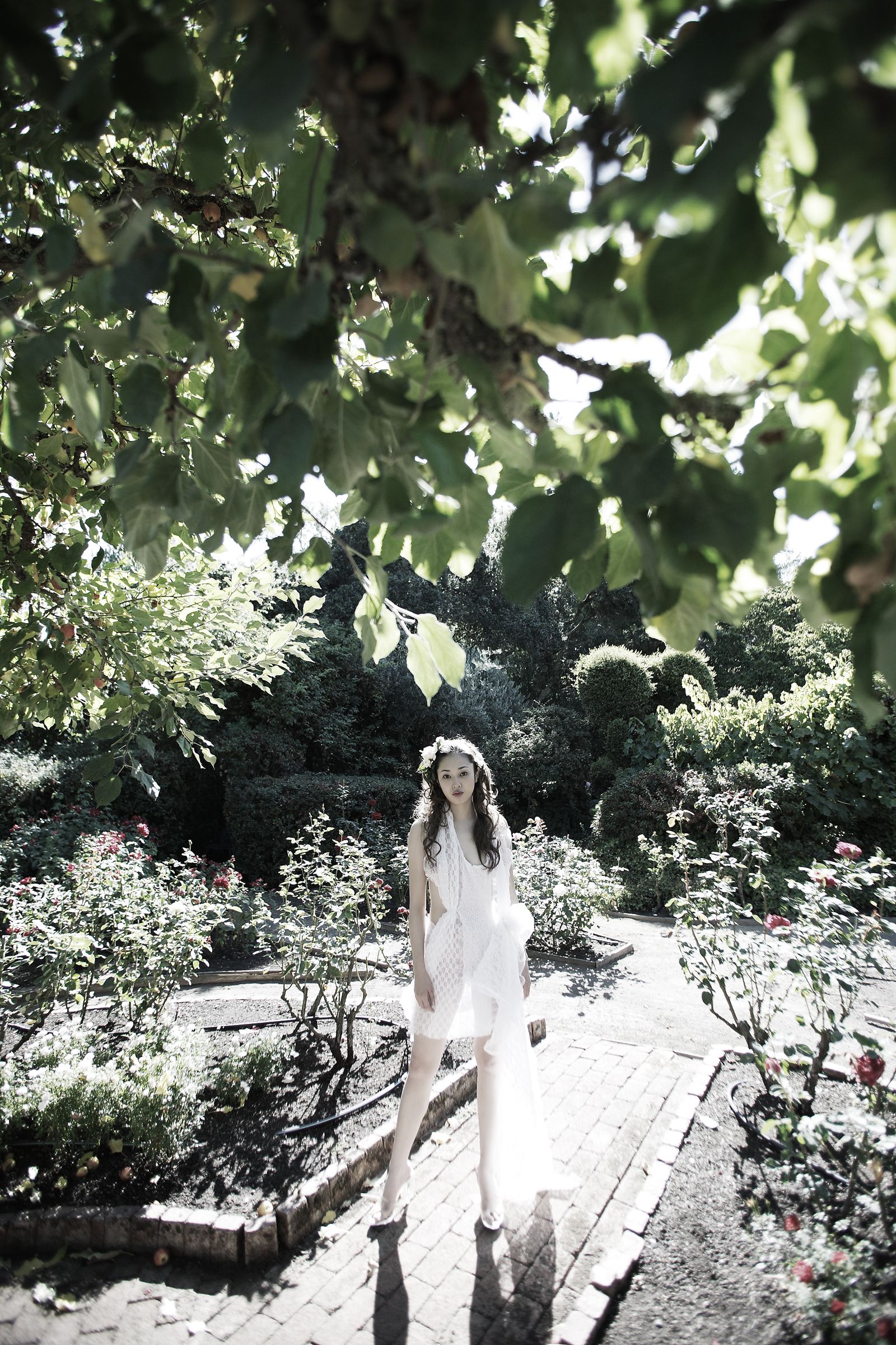 SF-No.411 小松千春 Chiharu Komatsu-图13