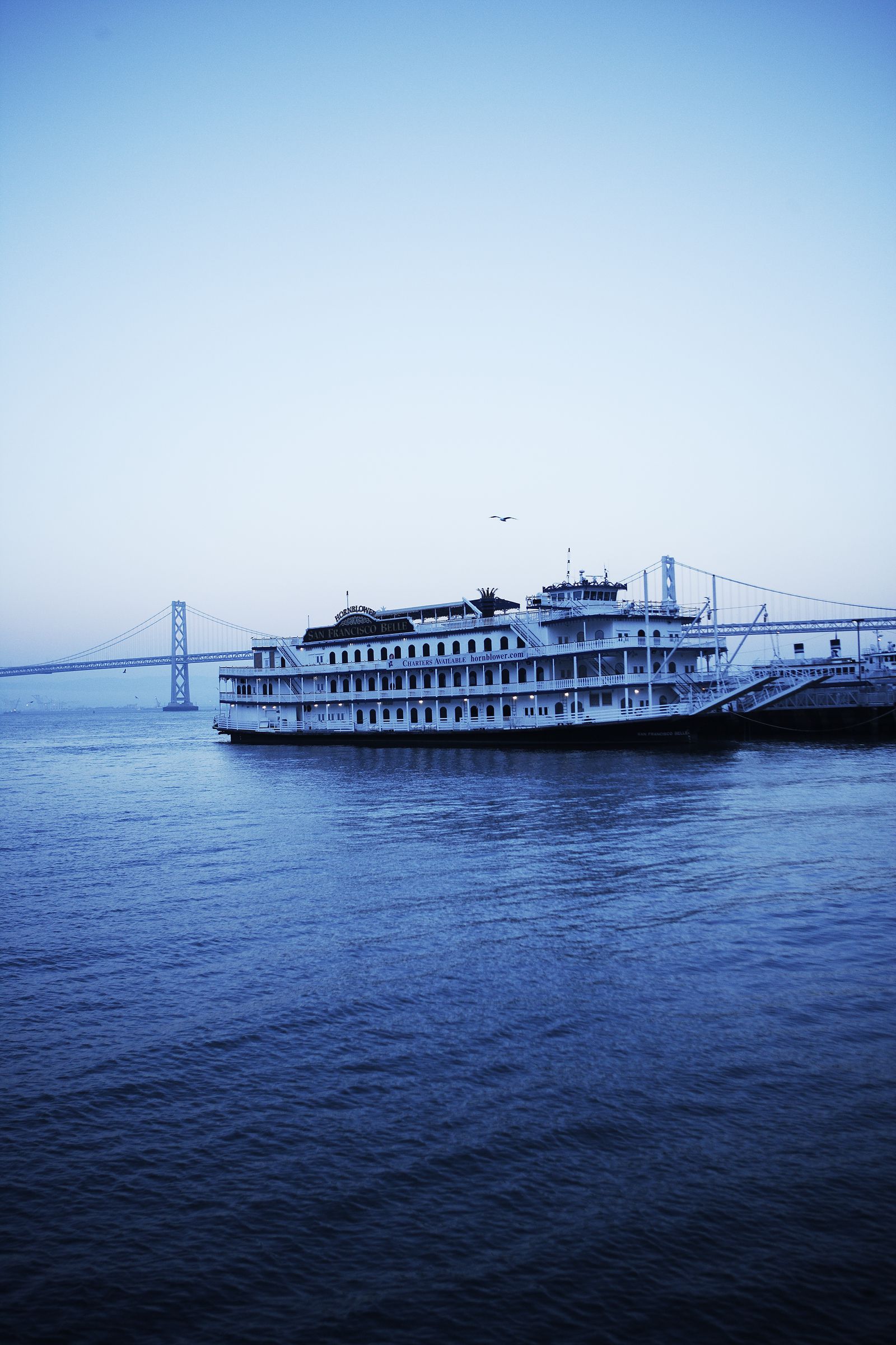 SF-No.411 小松千春 Chiharu Komatsu-图25