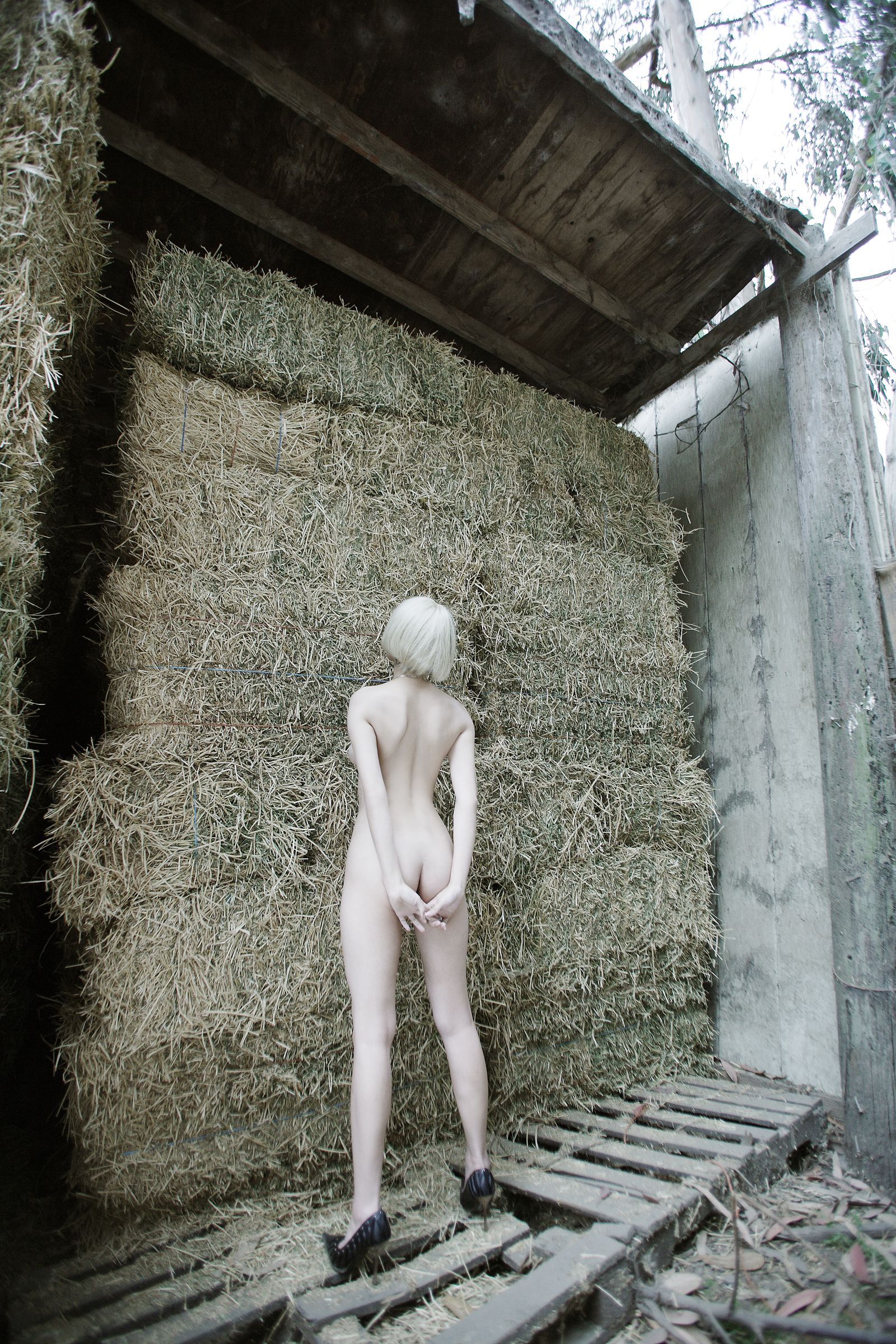 SF-No.411 小松千春 Chiharu Komatsu-图4