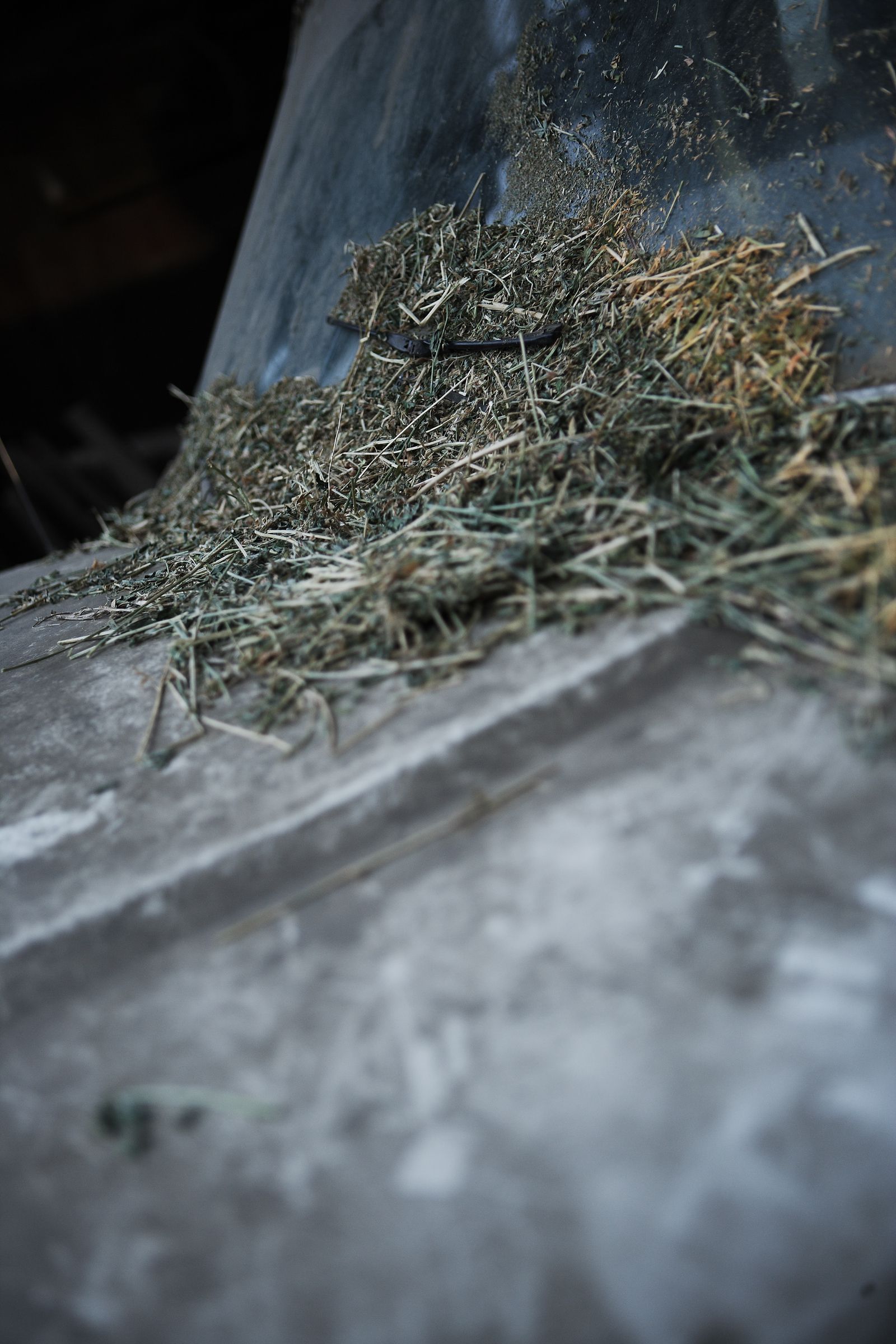 SF-No.411 小松千春 Chiharu Komatsu-图5