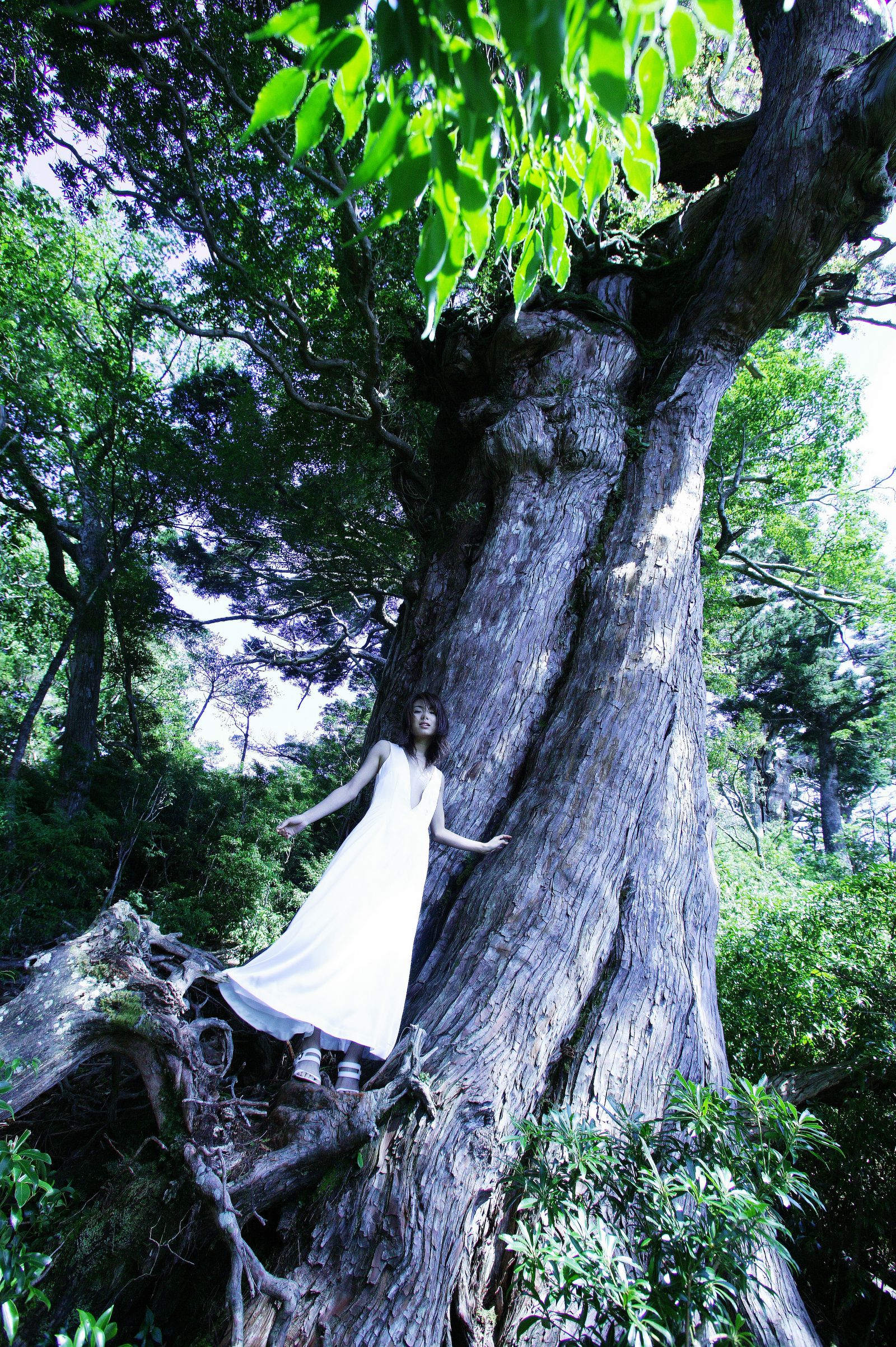 SF-No.412 内山理名 Rina Uchiyama-图1