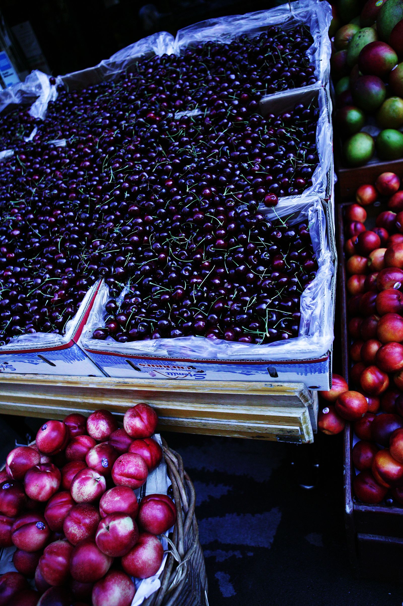 SF-No.413 Akiko Hinagata 雏形あきこ/雏形明子-图24