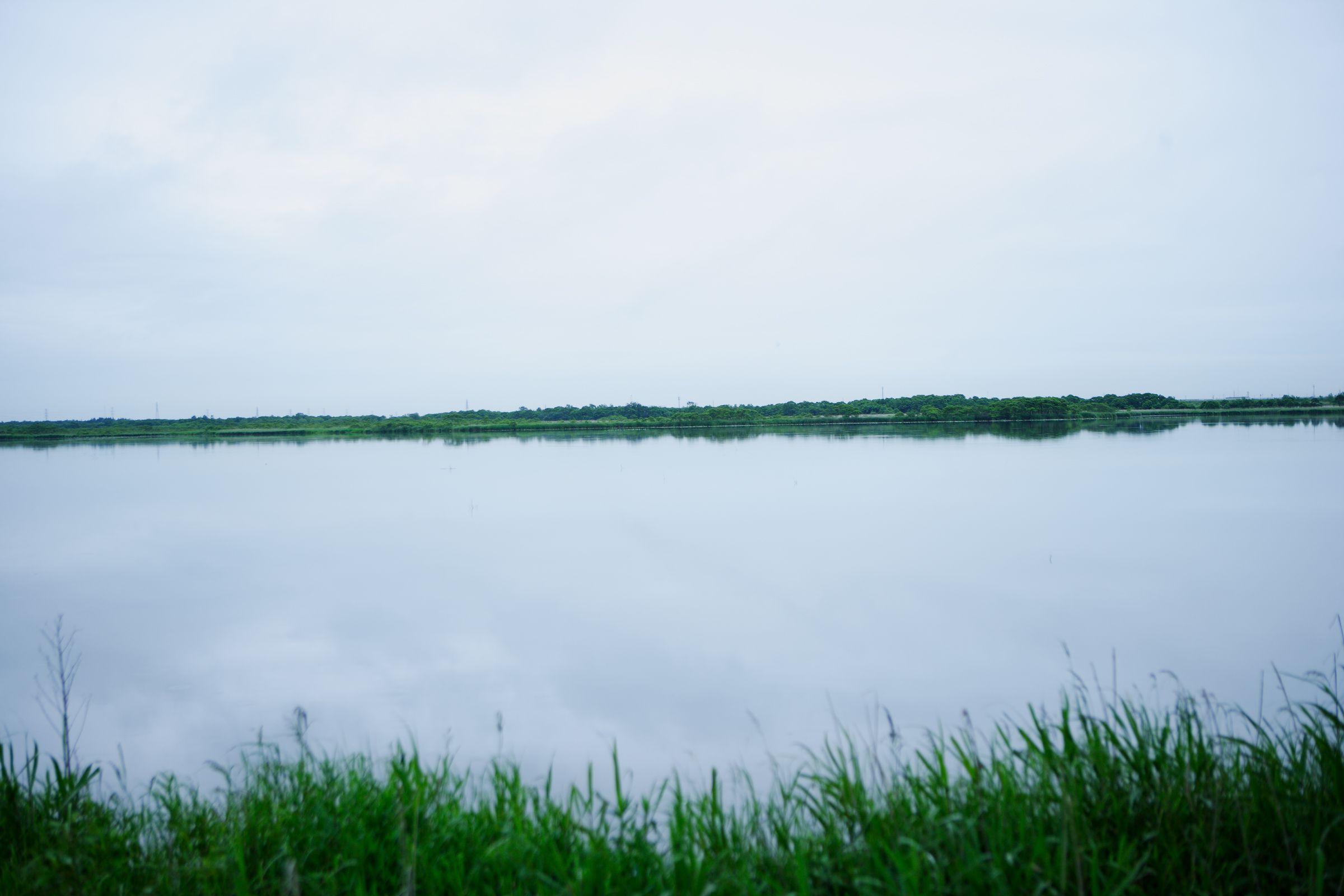 SF-No.417 Aki Hoshino ほしのあき/星野亜希-图36