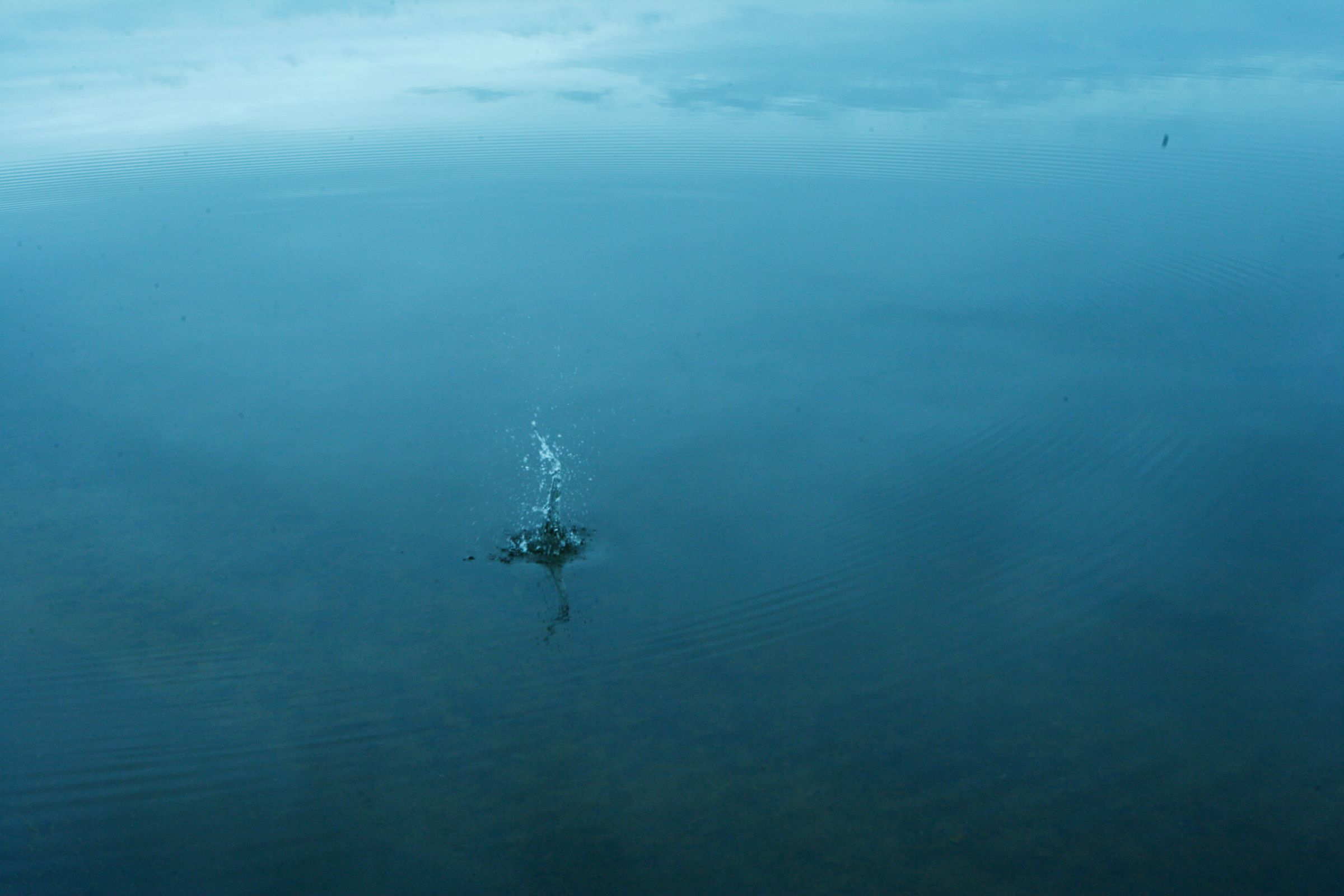 SF-No.417 Aki Hoshino ほしのあき/星野亜希-图40