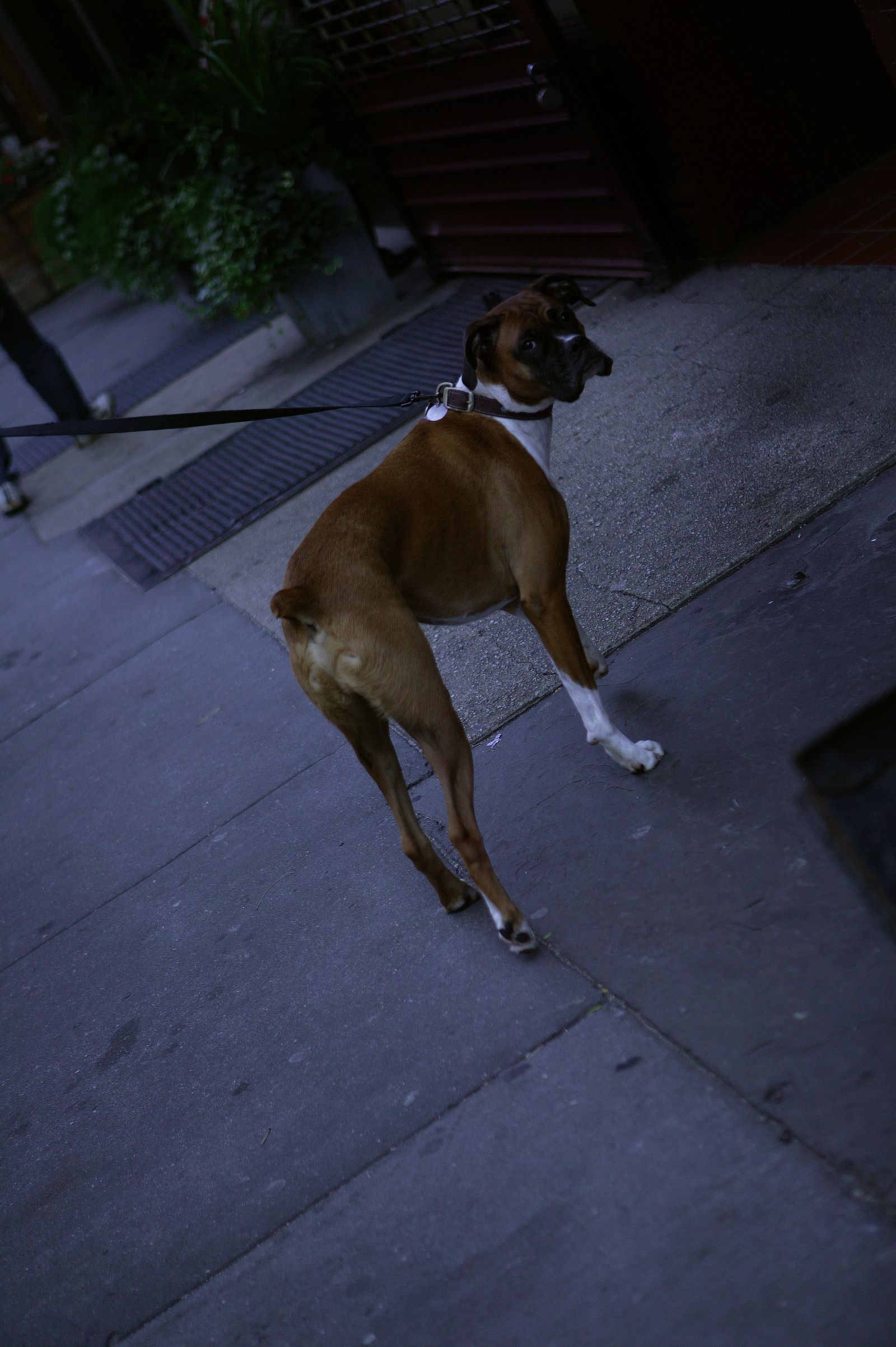 SF-No.419 铃木早智子 Sachiko Suzuki-图11