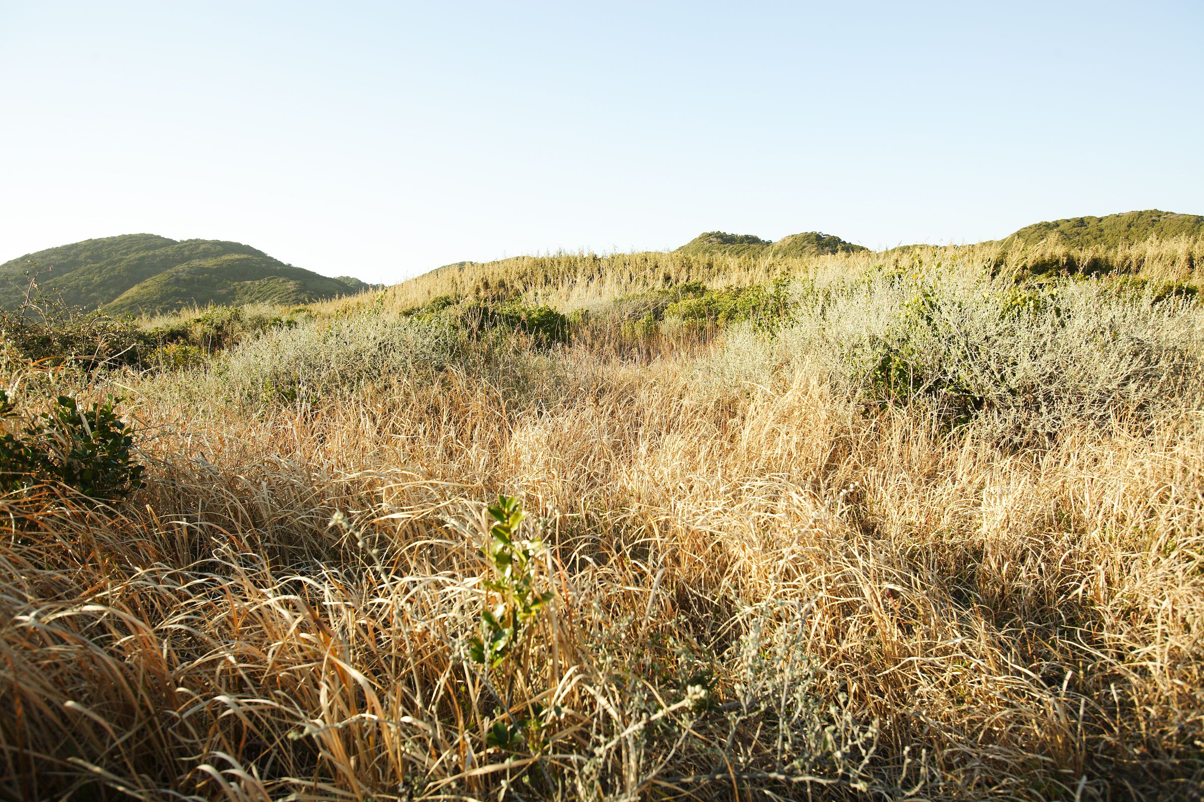 SF-No.428 琴早妃 Saki Koto-图27