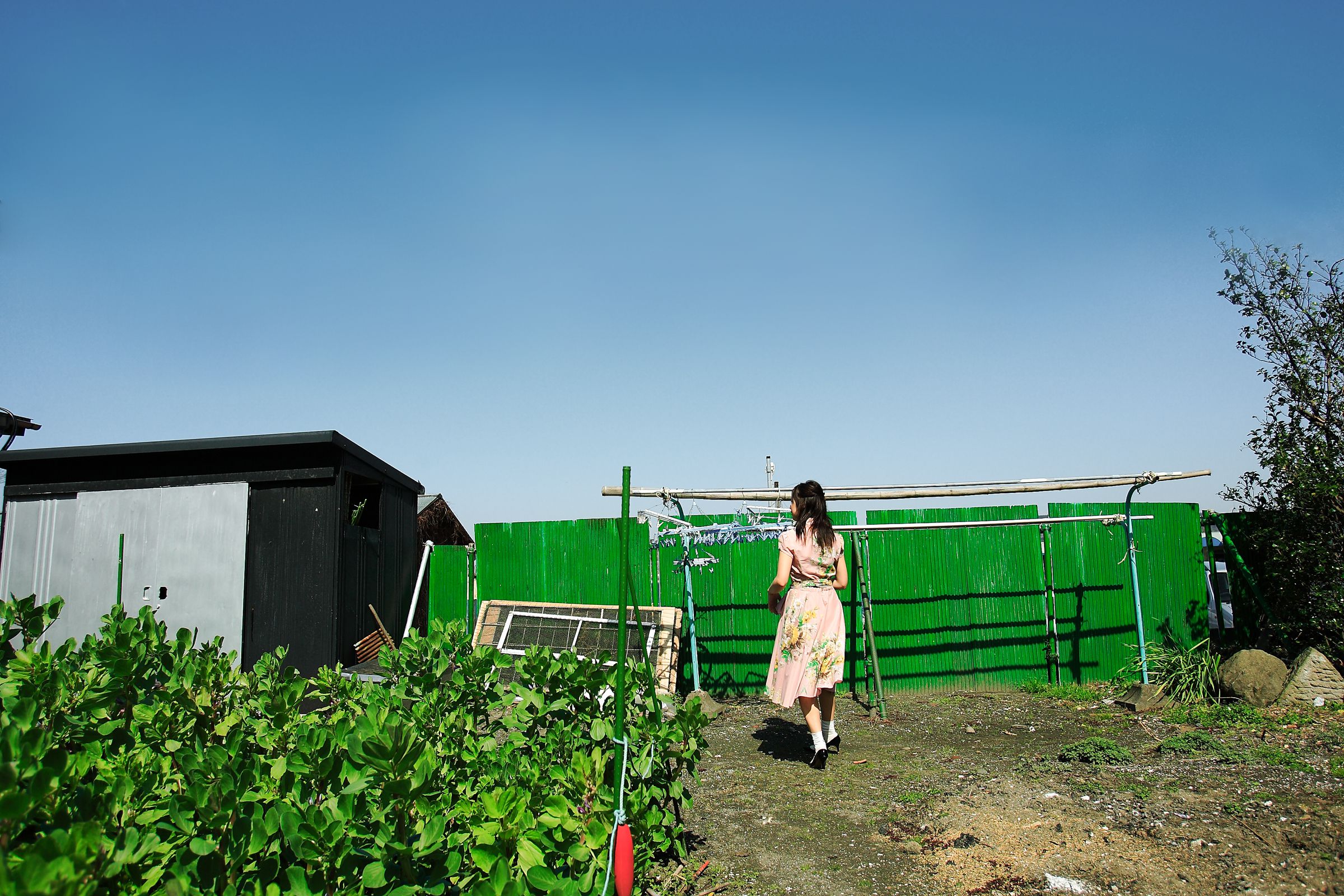 SF-No.428 琴早妃 Saki Koto-图28