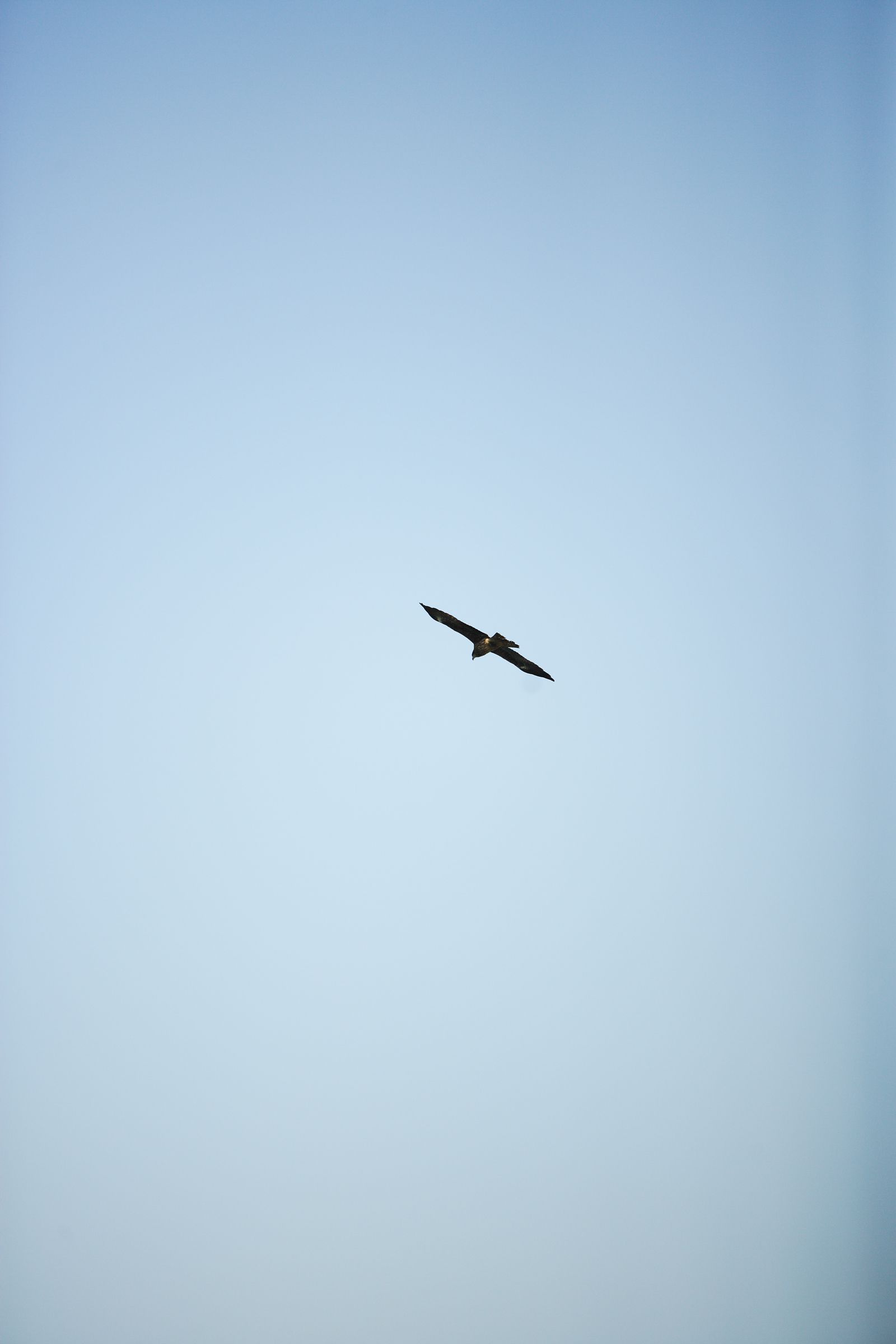 SF-No.428 琴早妃 Saki Koto-图33