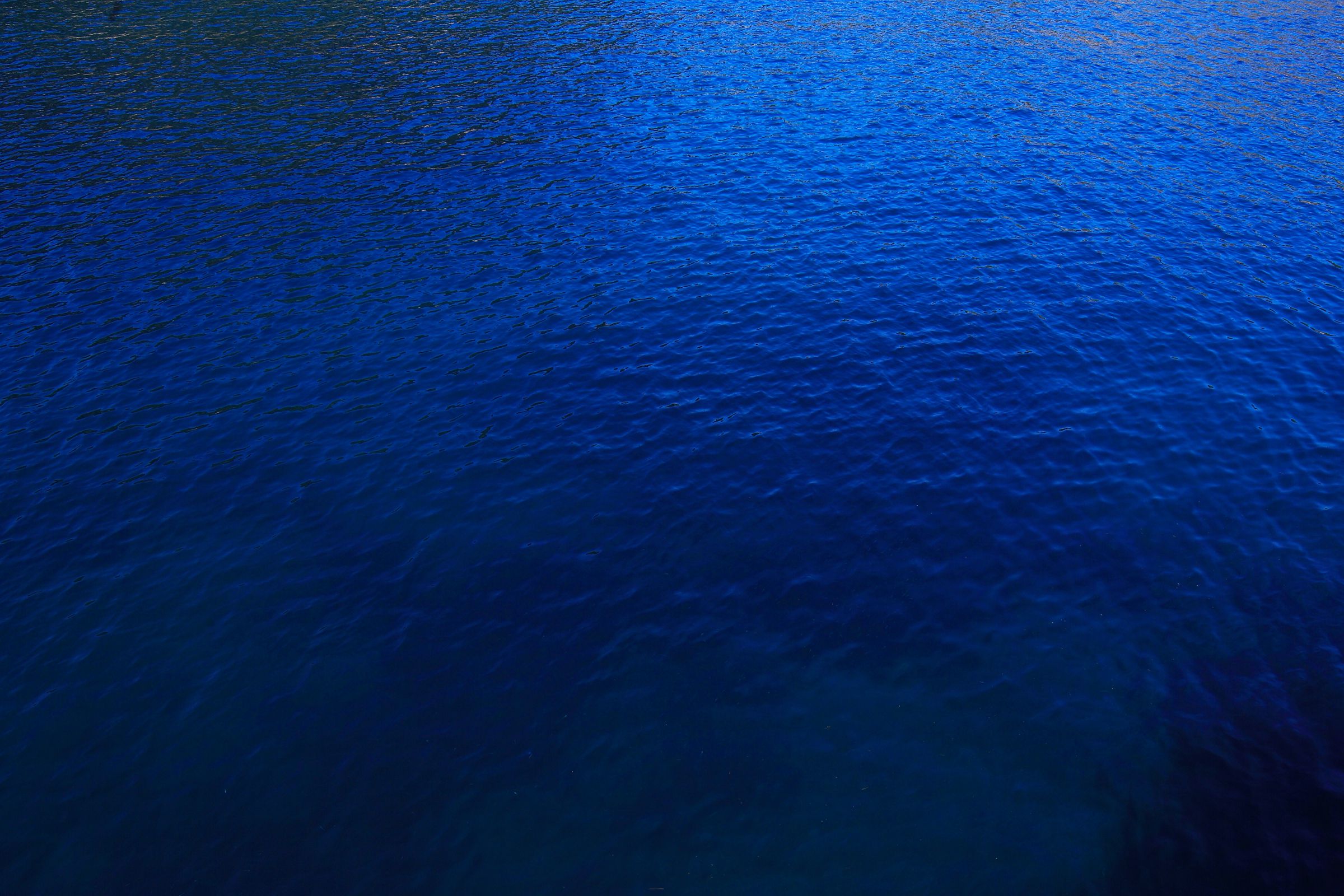 SF-No.428 琴早妃 Saki Koto-图35