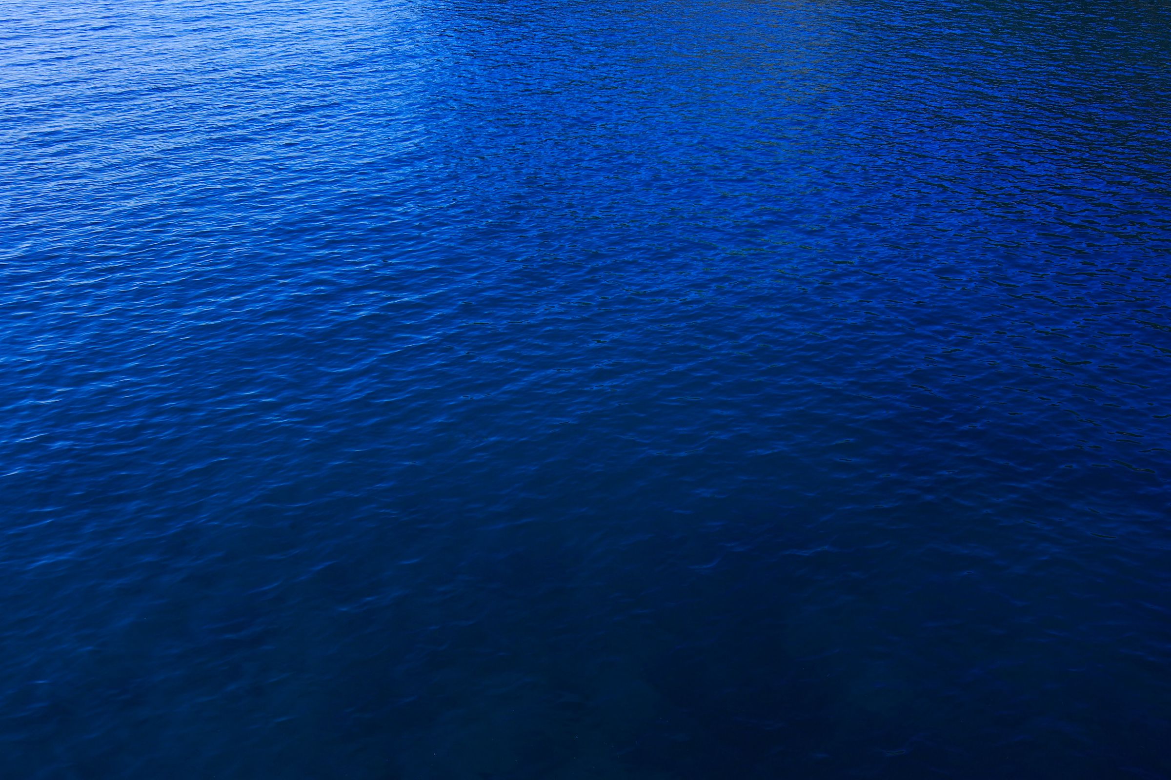 SF-No.428 琴早妃 Saki Koto-图36