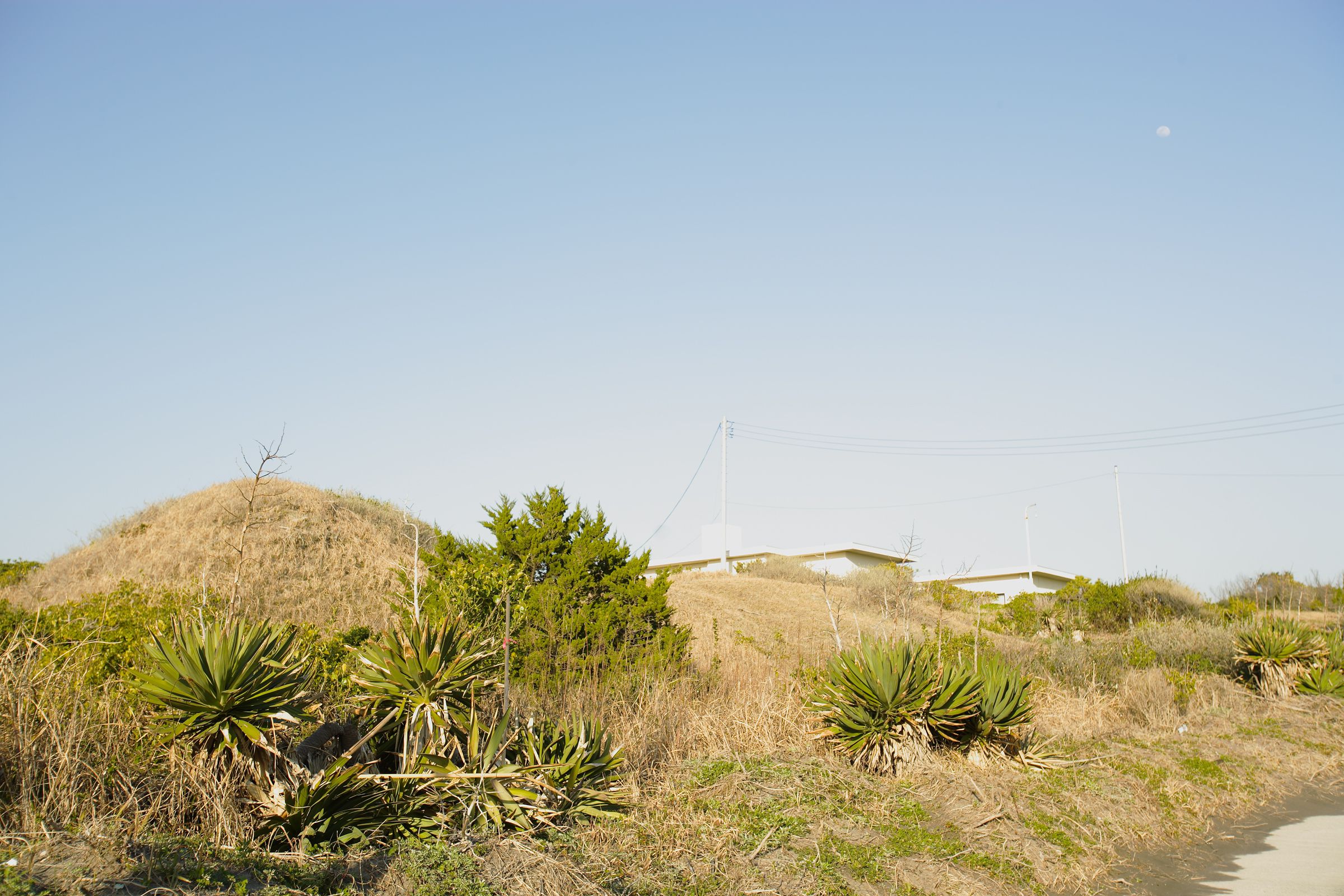 SF-No.428 琴早妃 Saki Koto-图39