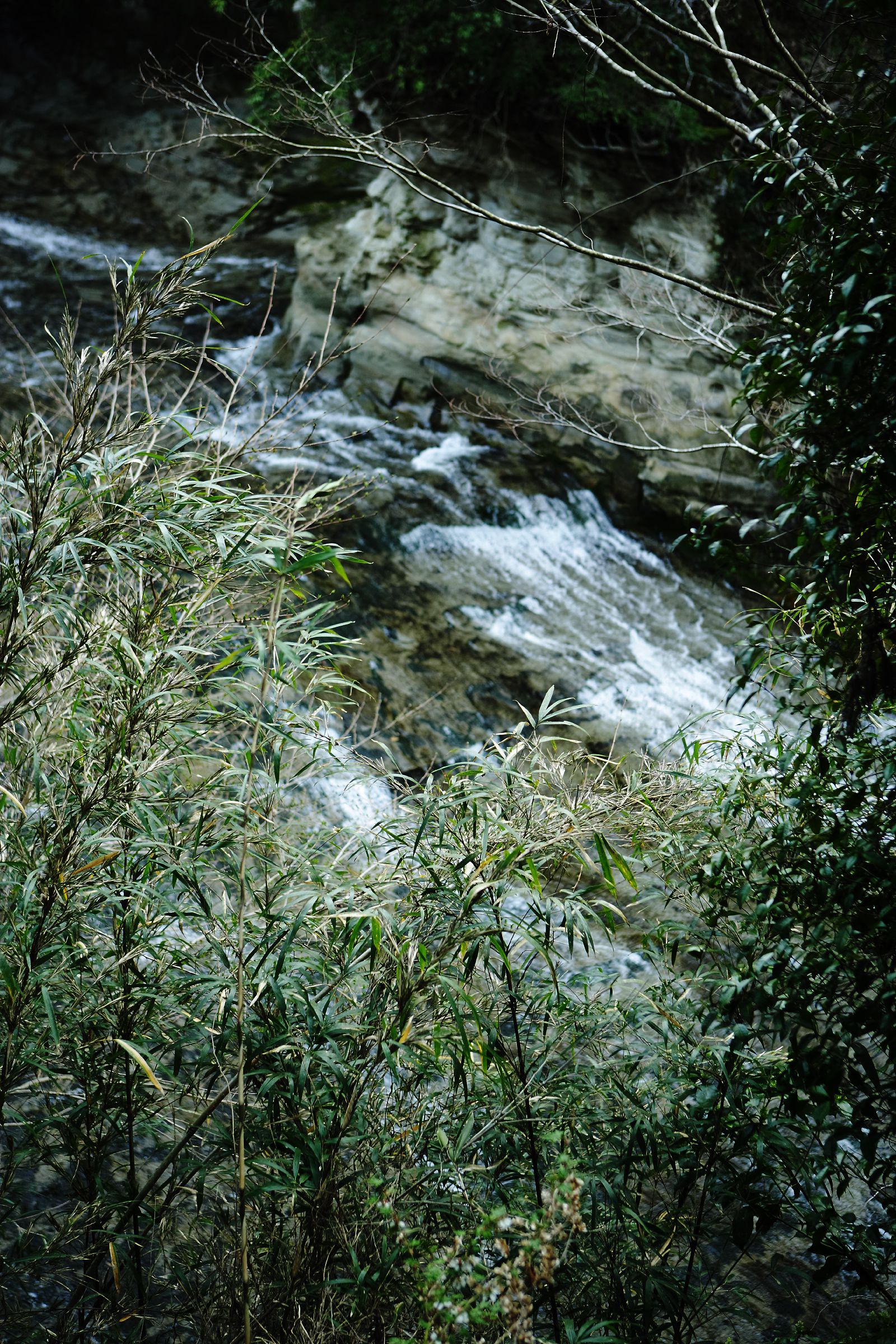 SF-No.430 浜名優衣 Yui Hamana-图5