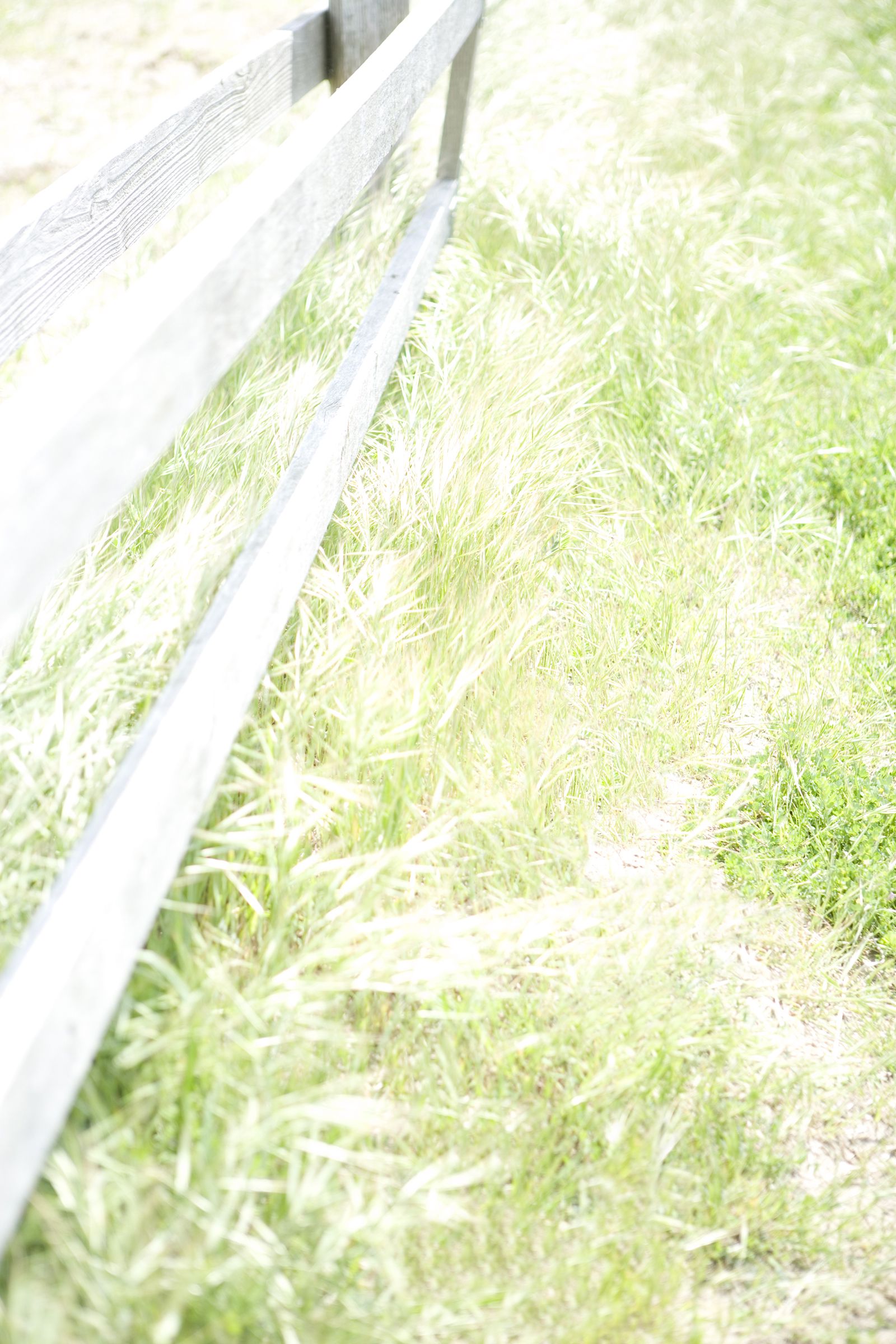 SF-No.432 Yoshimi Asada 須藤さをり/浅田好未-图27