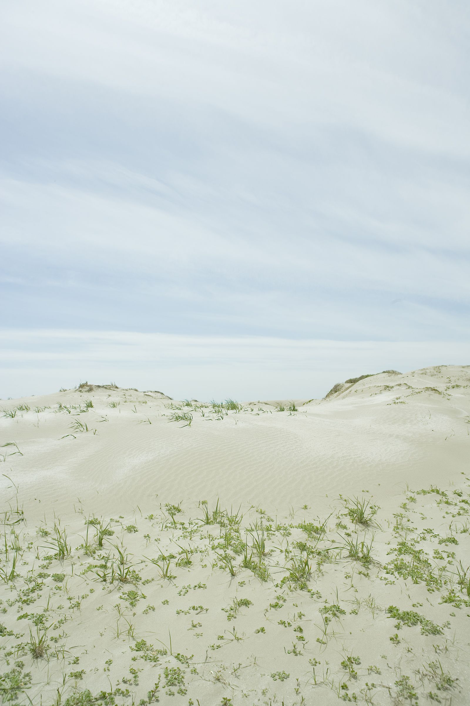 SF-No.432 Yoshimi Asada 須藤さをり/浅田好未-图32