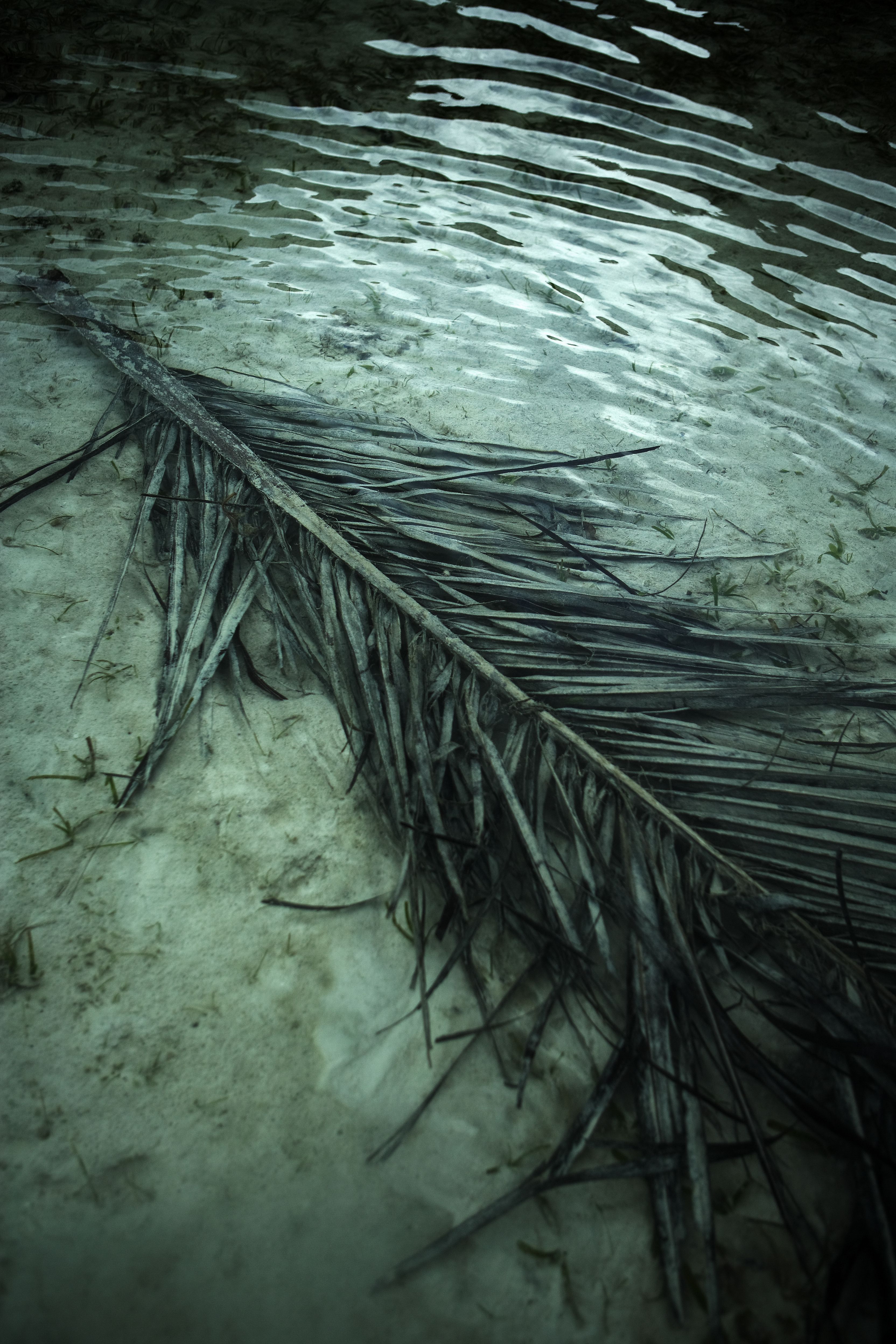 SF-No.433 Saaya Irie 入江紗綾-图28