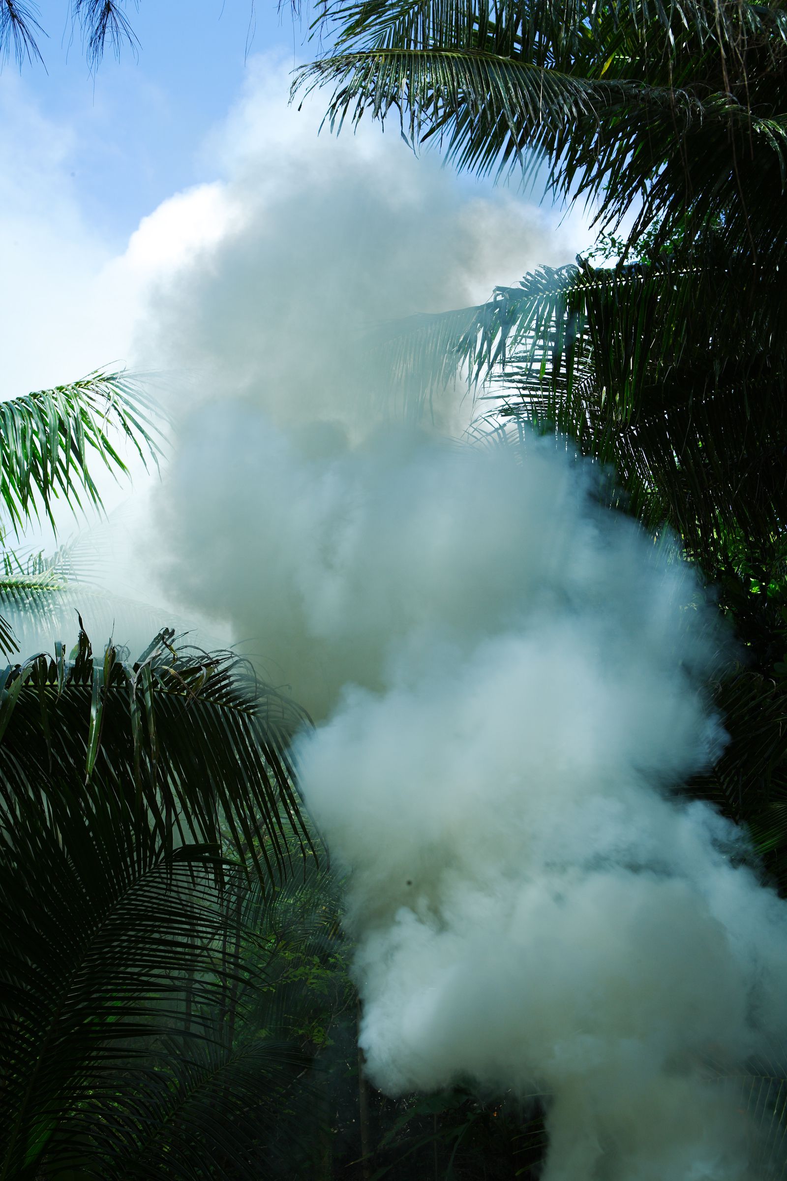 SF-No.436 Ai Takabe 高部爱/高部あい-图32