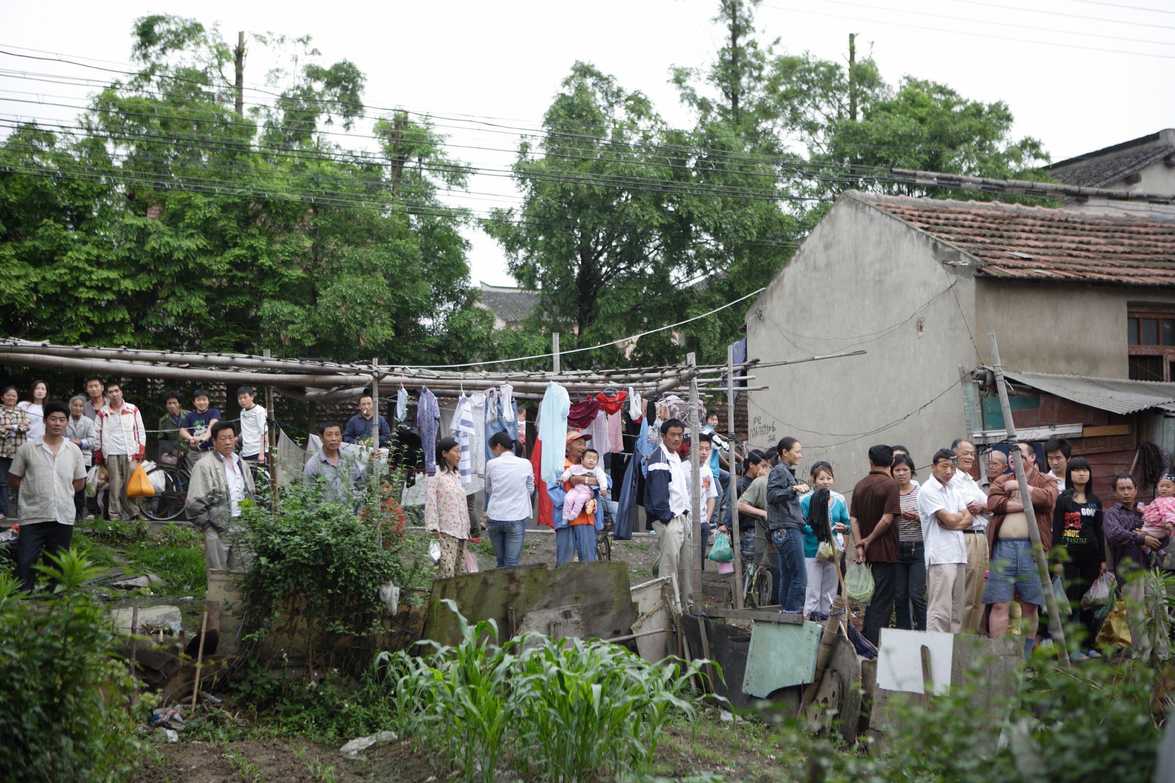 SF-No.441 Nonami Takizawa 滝沢乃南/泷泽乃南-图0