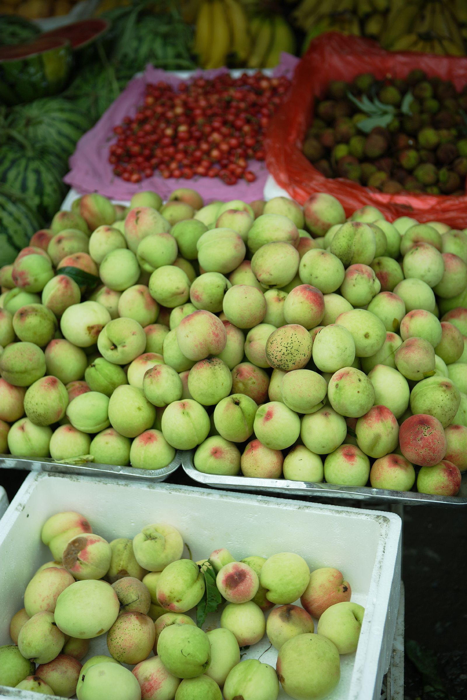 SF-No.441 Nonami Takizawa 滝沢乃南/泷泽乃南-图15