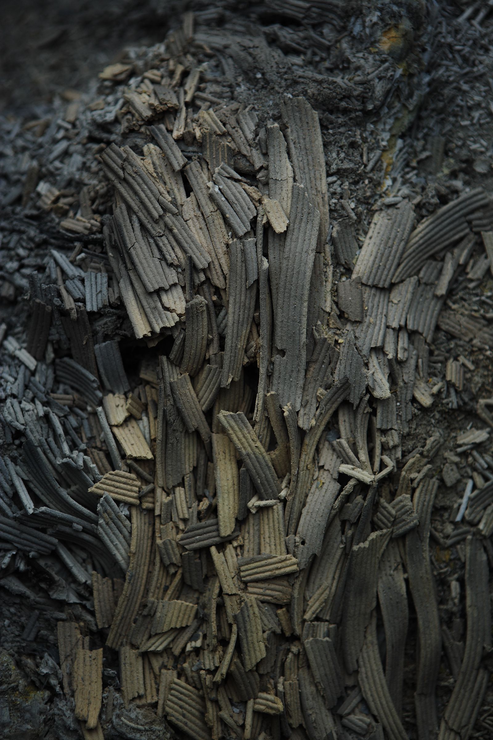 SF-No.442 Yuriko Shiratori 白鸟百合子/白鳥百合子-图16