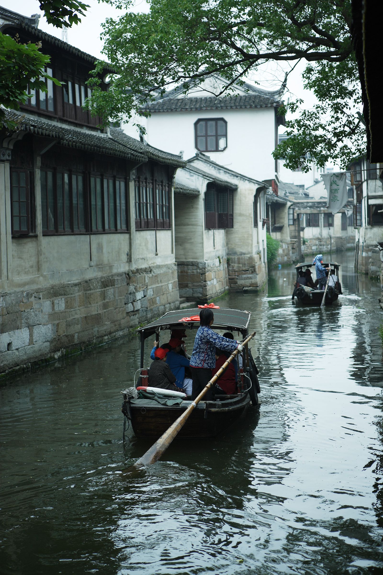 SF-No.442 Yuriko Shiratori 白鸟百合子/白鳥百合子-图36