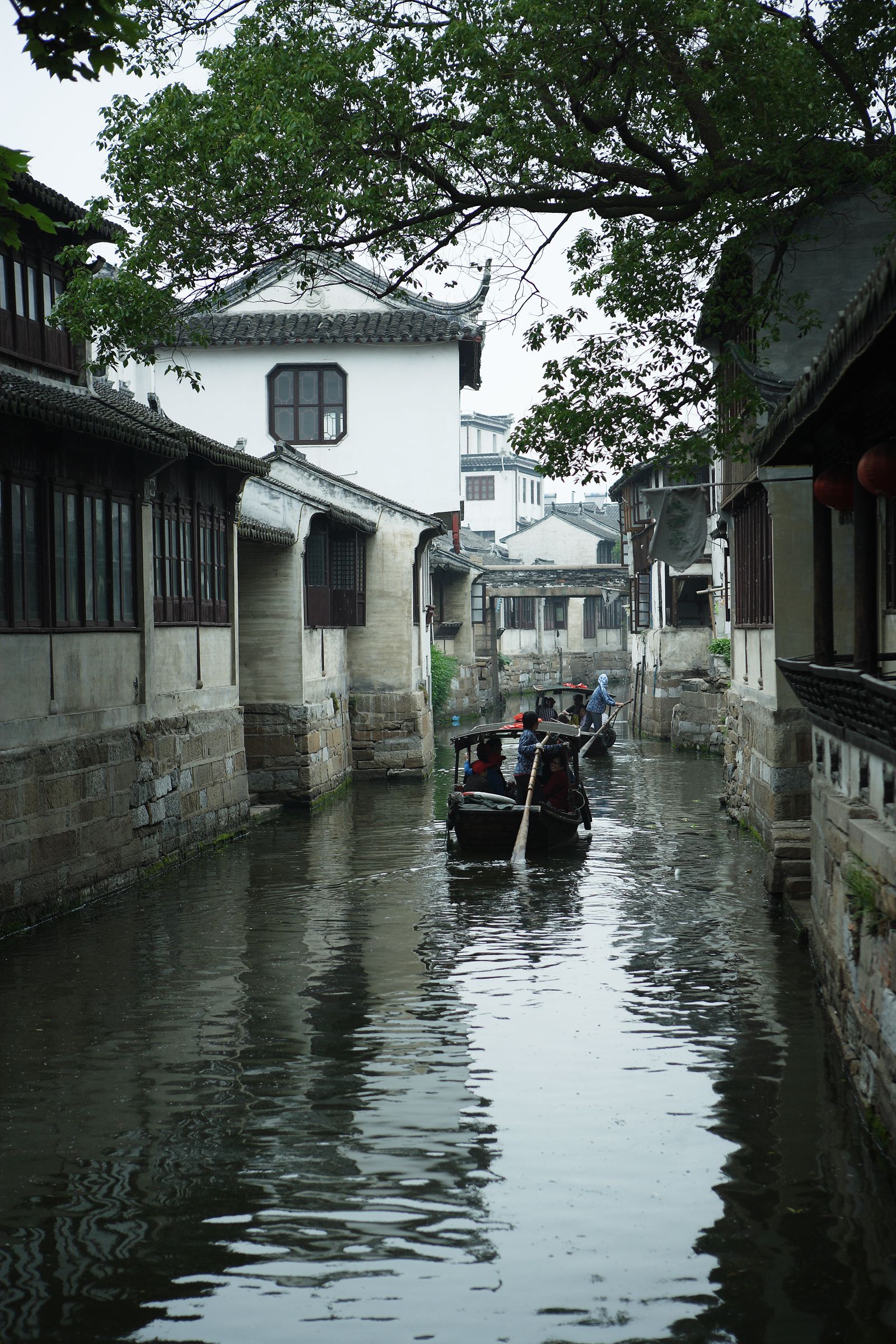 SF-No.443 Yuriko Shiratori 白鳥百合子/白鸟百合子-图31