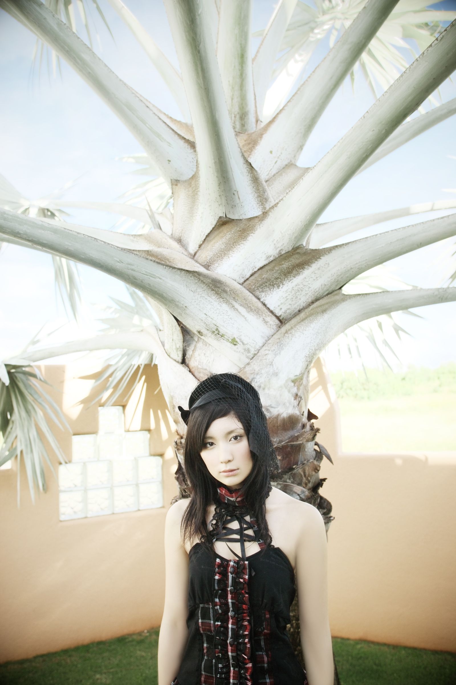 SF-No.446 Miu Nakamura 仲村みう/仲村美宇-图2