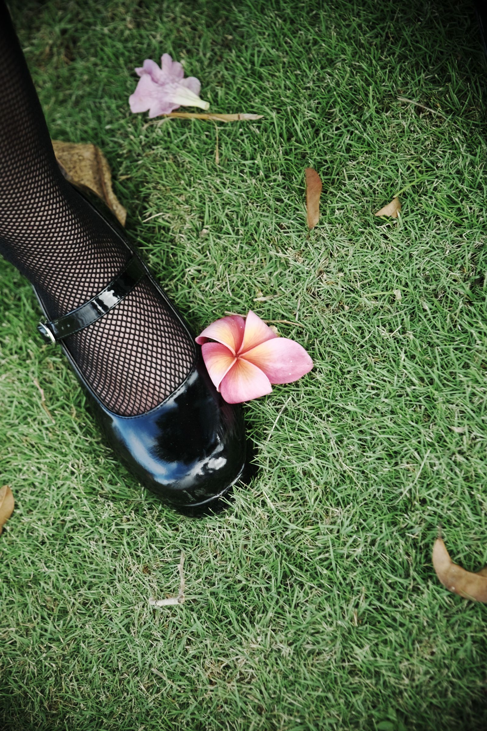 SF-No.446 Miu Nakamura 仲村みう/仲村美宇-图3