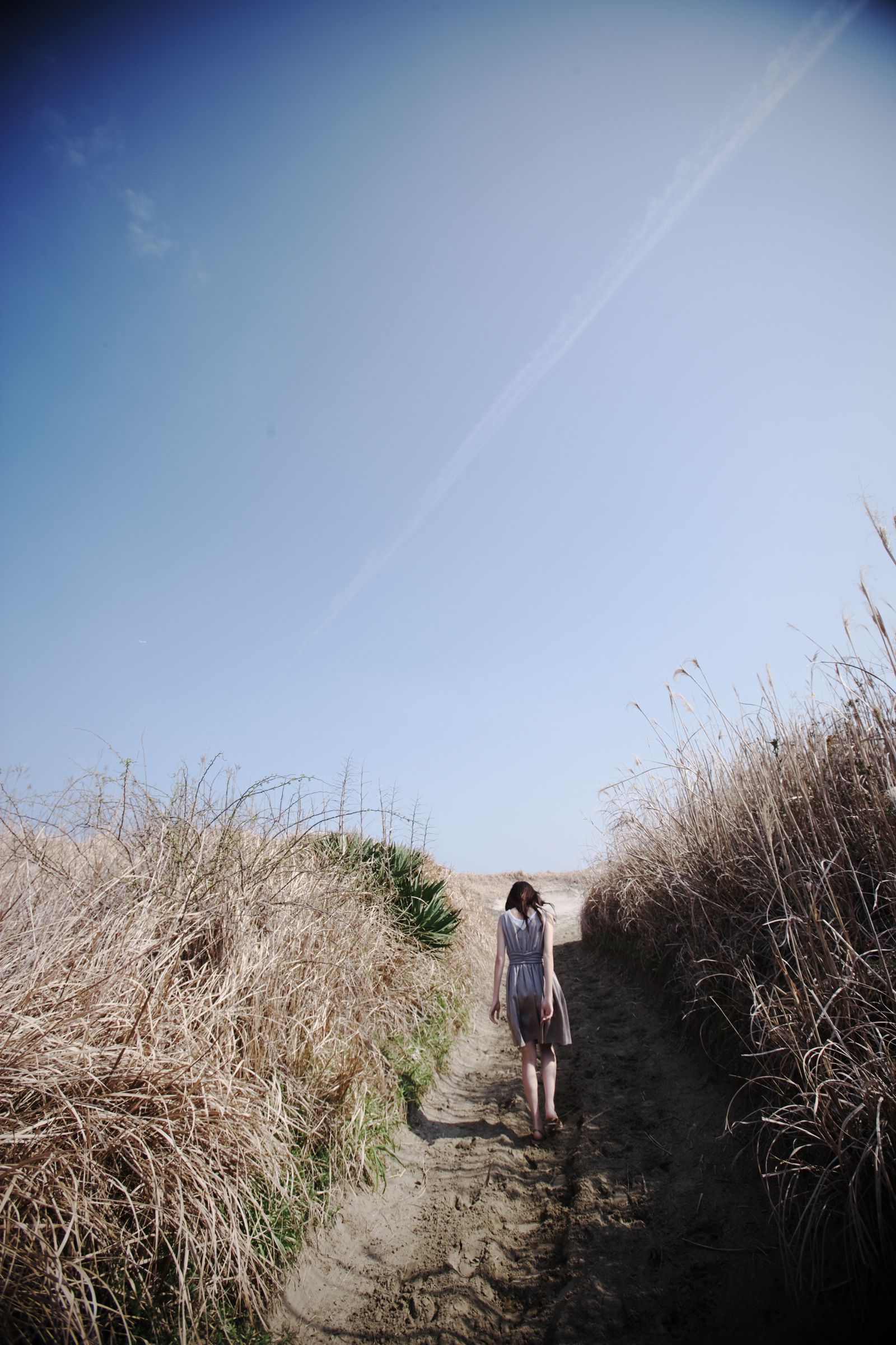 SF-No.449 Erika Toda 戸田恵梨香/户田惠梨香-图22