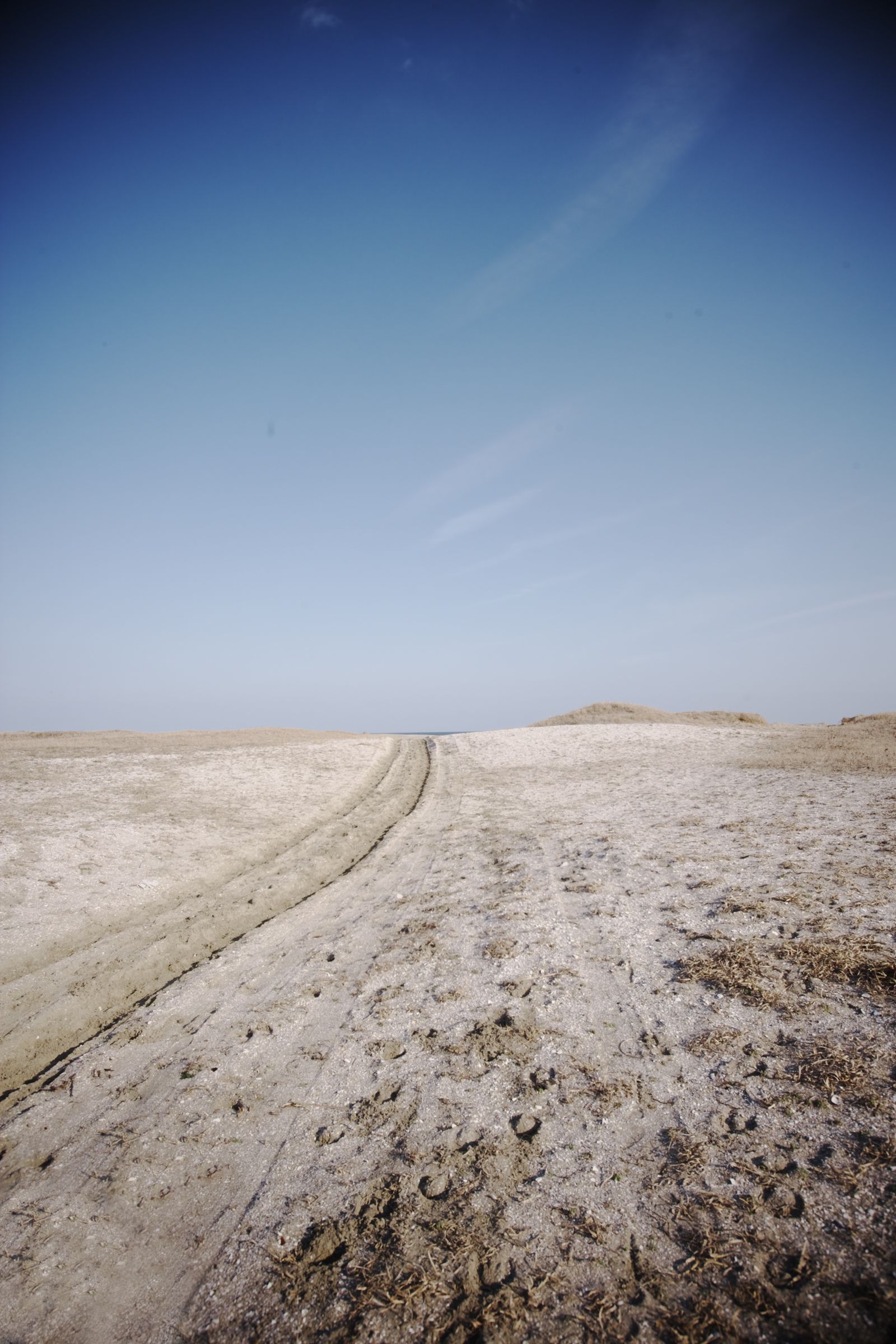 SF-No.449 Erika Toda 戸田恵梨香/户田惠梨香-图8