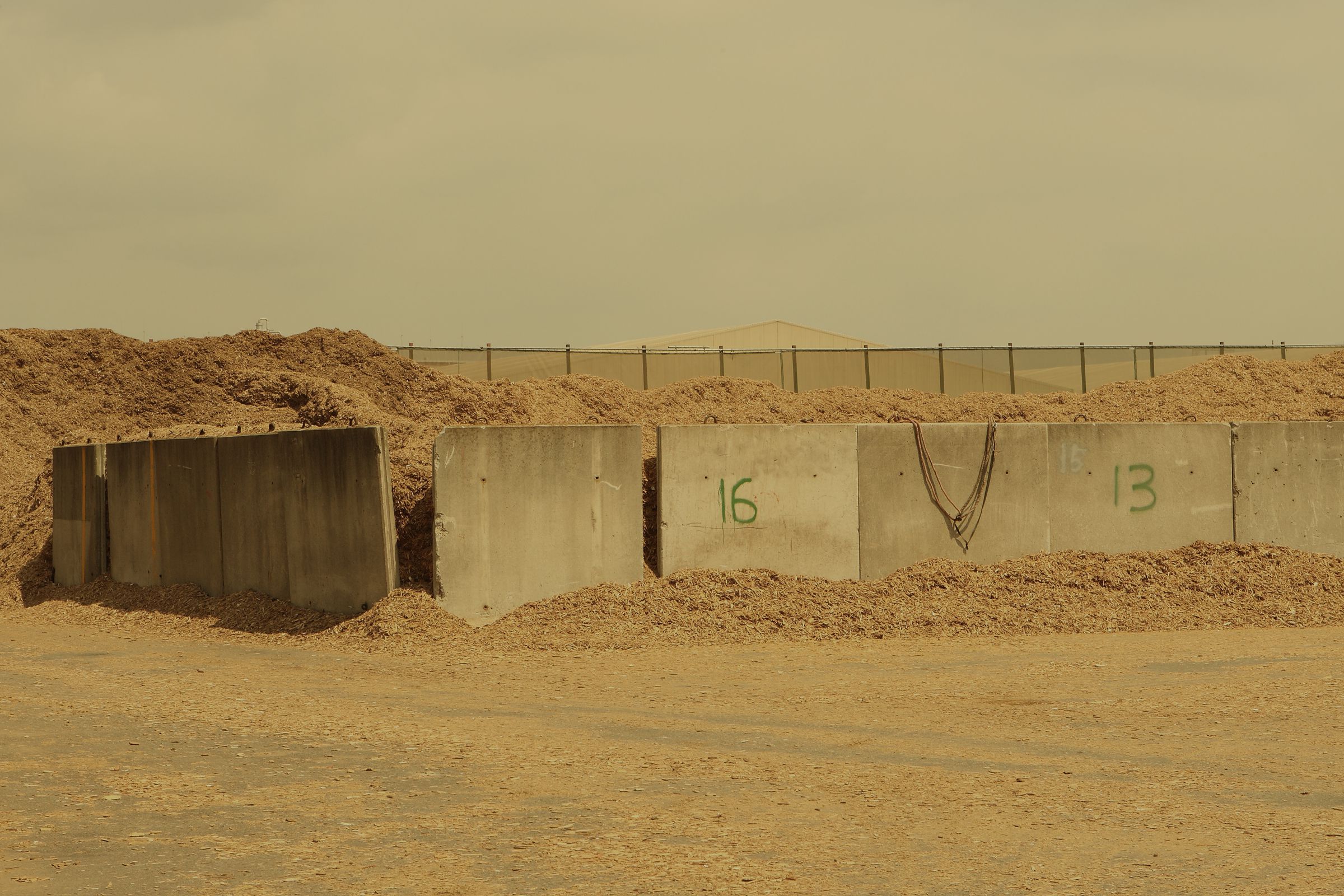 SF-No.450 Namiko Hara 原南海子-图21