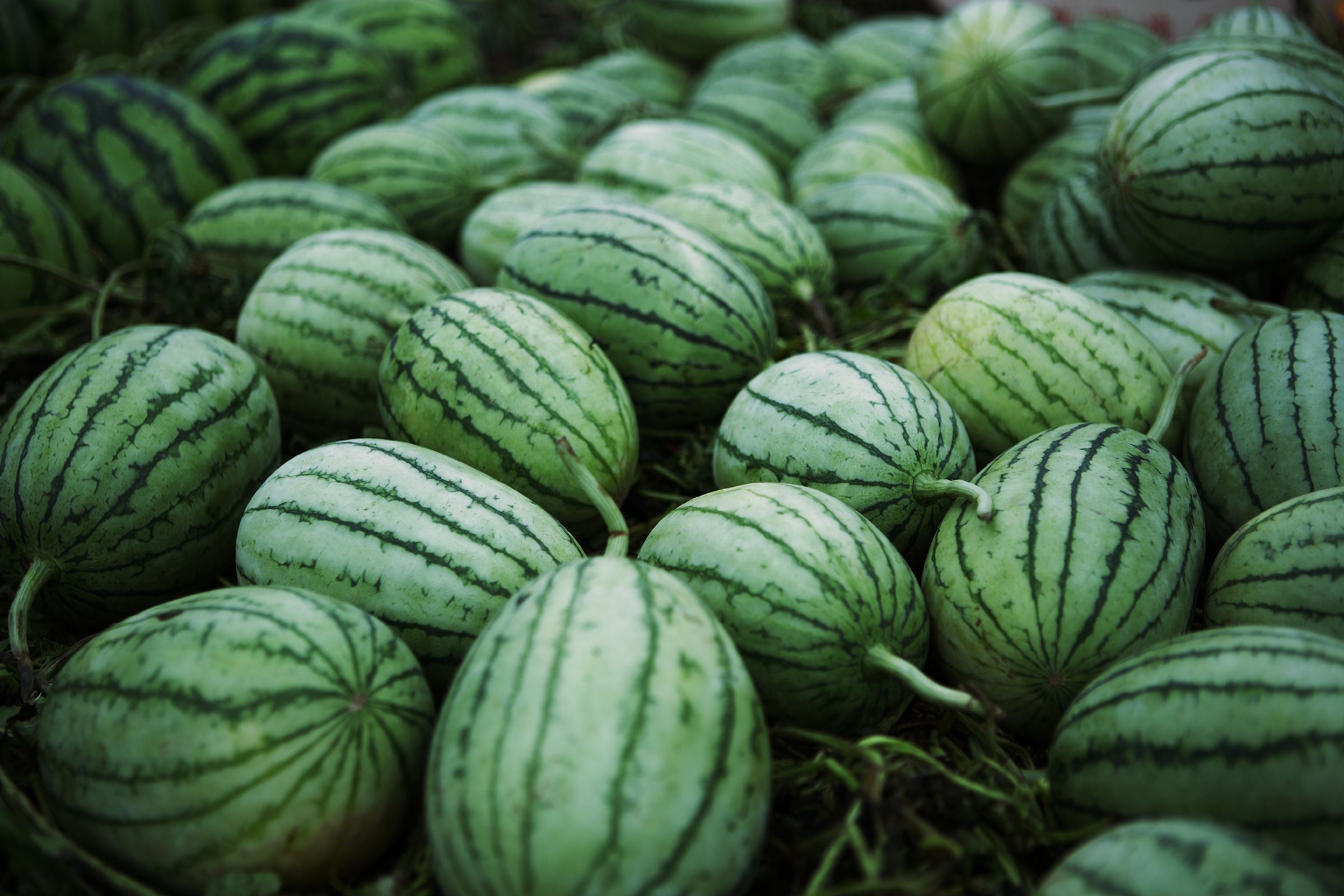 SF-No.454 Nonami Takizawa 泷泽乃南/滝沢乃南-图28