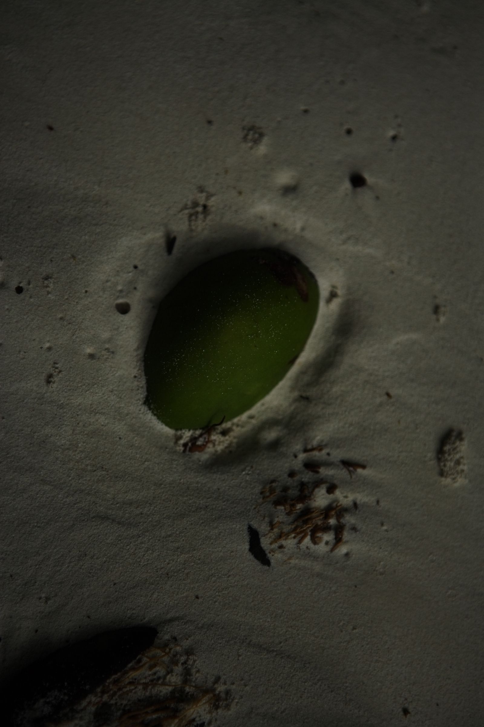 SF-No.458 Saaya Irie 入江紗綾 -UNDERAGE!-图20